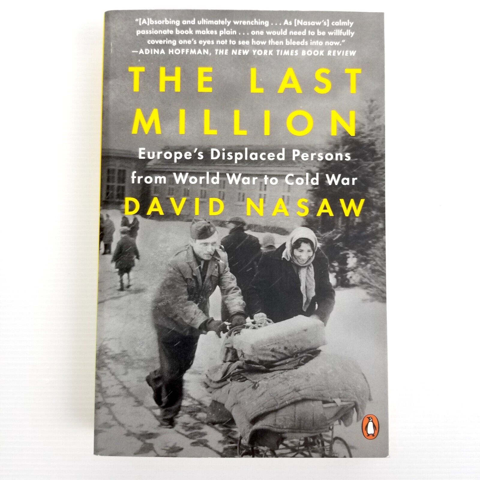 The Last Million: Europe's Displaced Persons from World War to Cold War by David