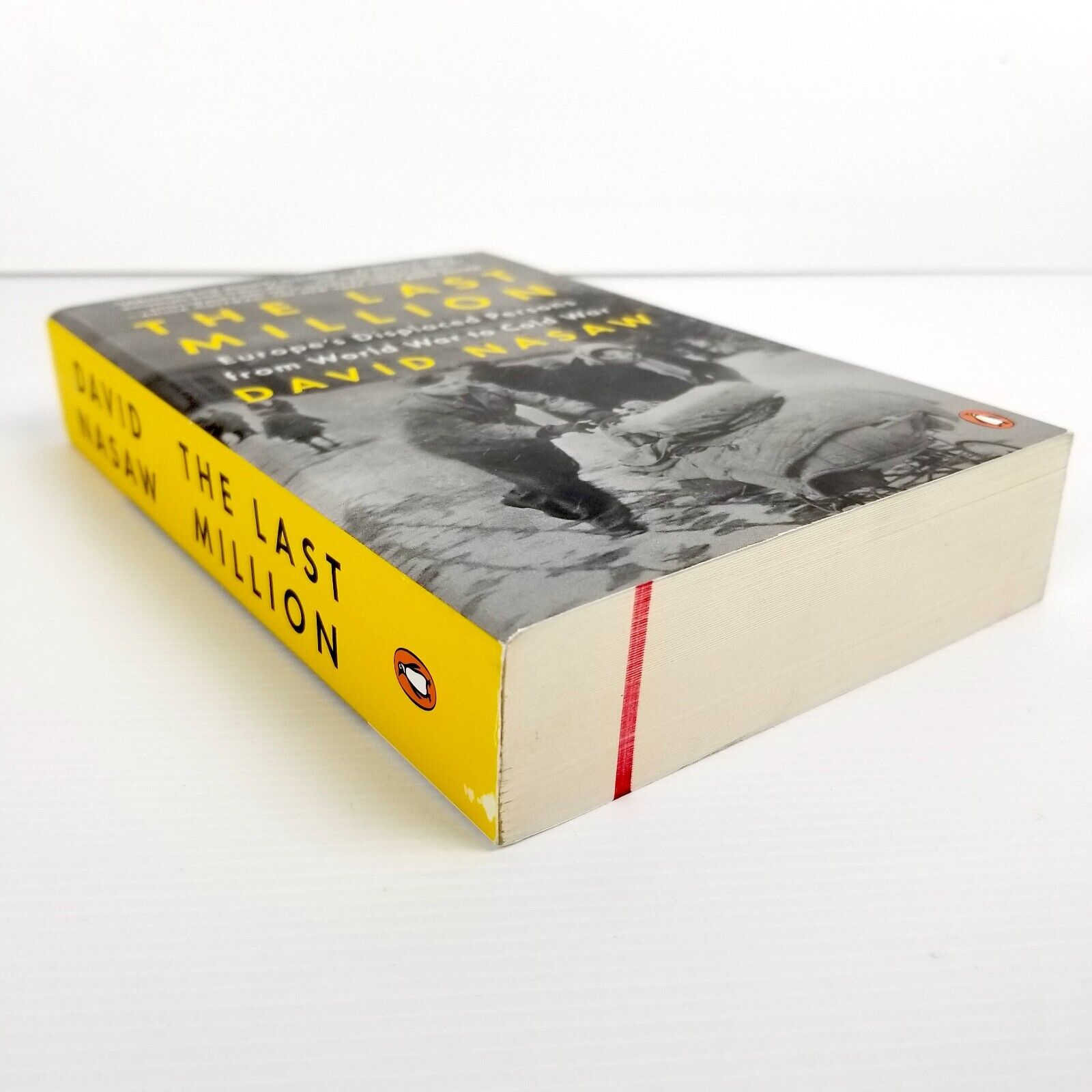 The Last Million: Europe's Displaced Persons from World War to Cold War by David