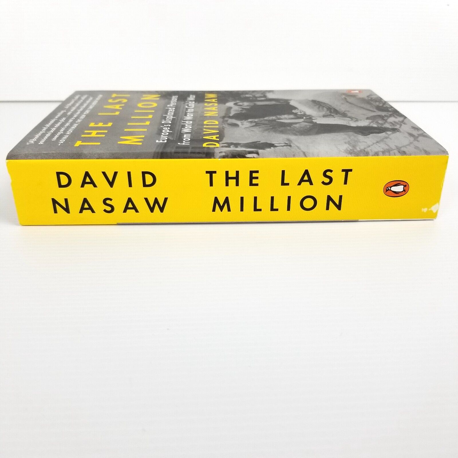 The Last Million: Europe's Displaced Persons from World War to Cold War by David