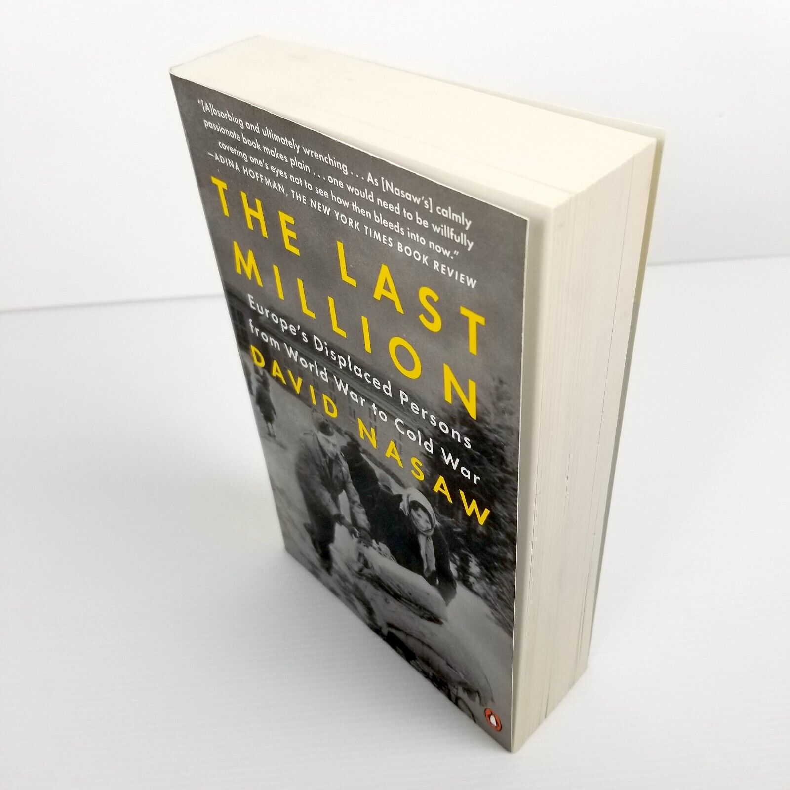 The Last Million: Europe's Displaced Persons from World War to Cold War by David