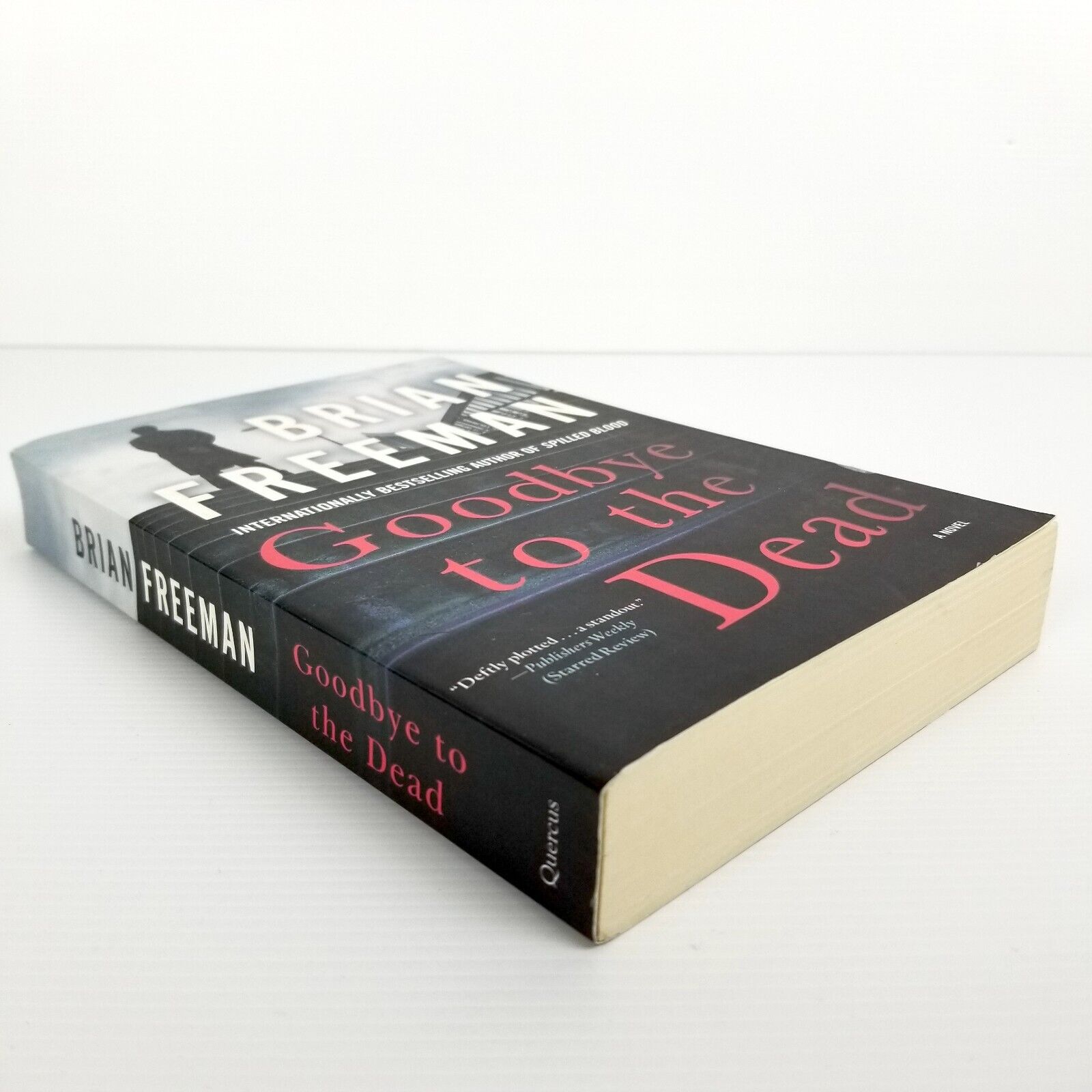 Goodbye to the Dead (A Jonathan Stride Novel) by Brian Freeman (Paperback, 2017)