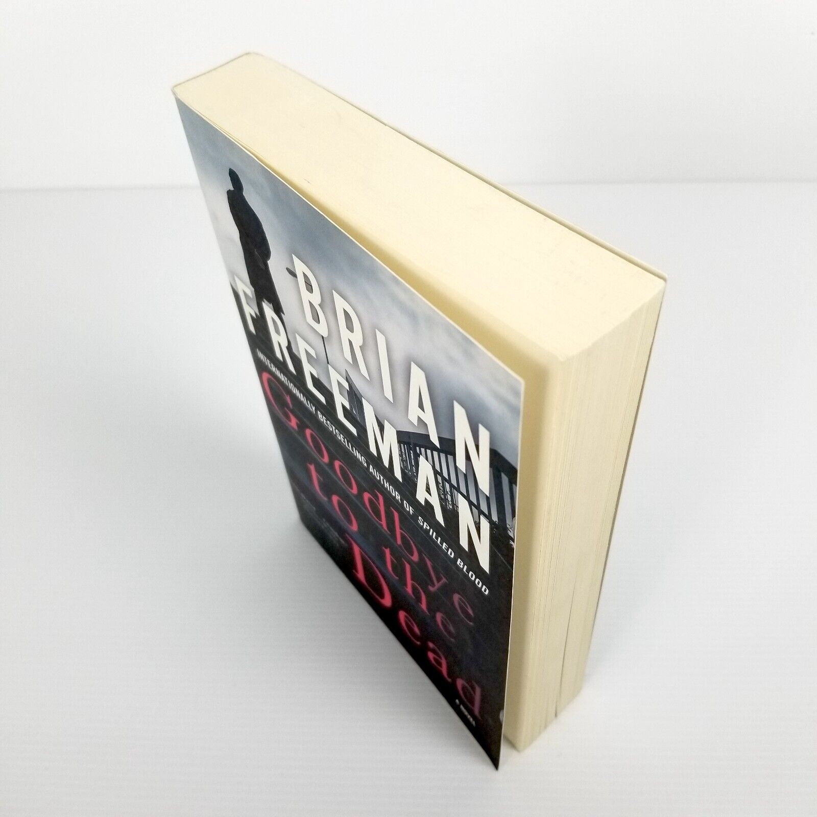 Goodbye to the Dead (A Jonathan Stride Novel) by Brian Freeman (Paperback, 2017)