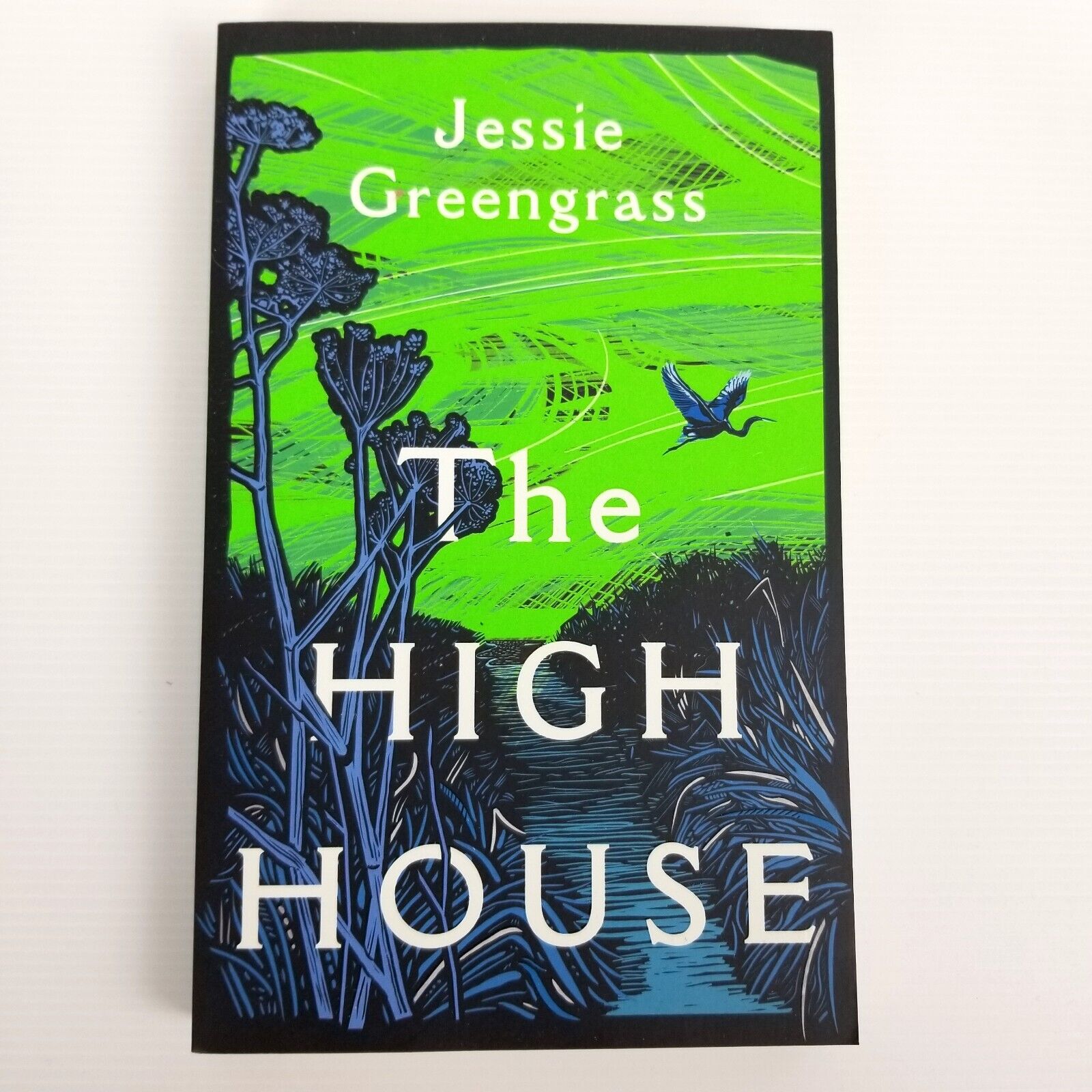 The High House by Jessie Greengrass (Paperback, 2021) Fiction Family Drama Novel