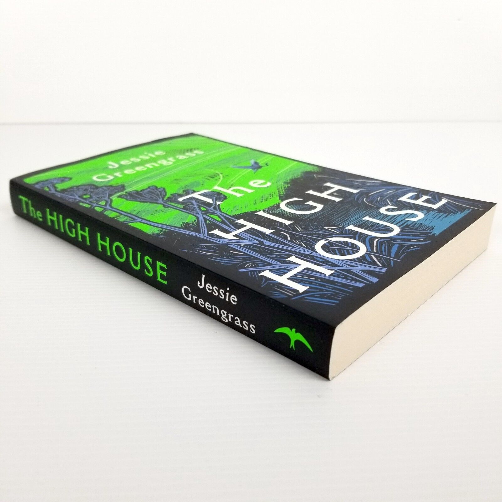 The High House by Jessie Greengrass (Paperback, 2021) Fiction Family Drama Novel