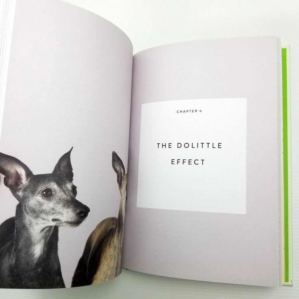 Four-Legged Therapy by dept.store for the mind (Hardcover, 2018) Dog Lover Book
