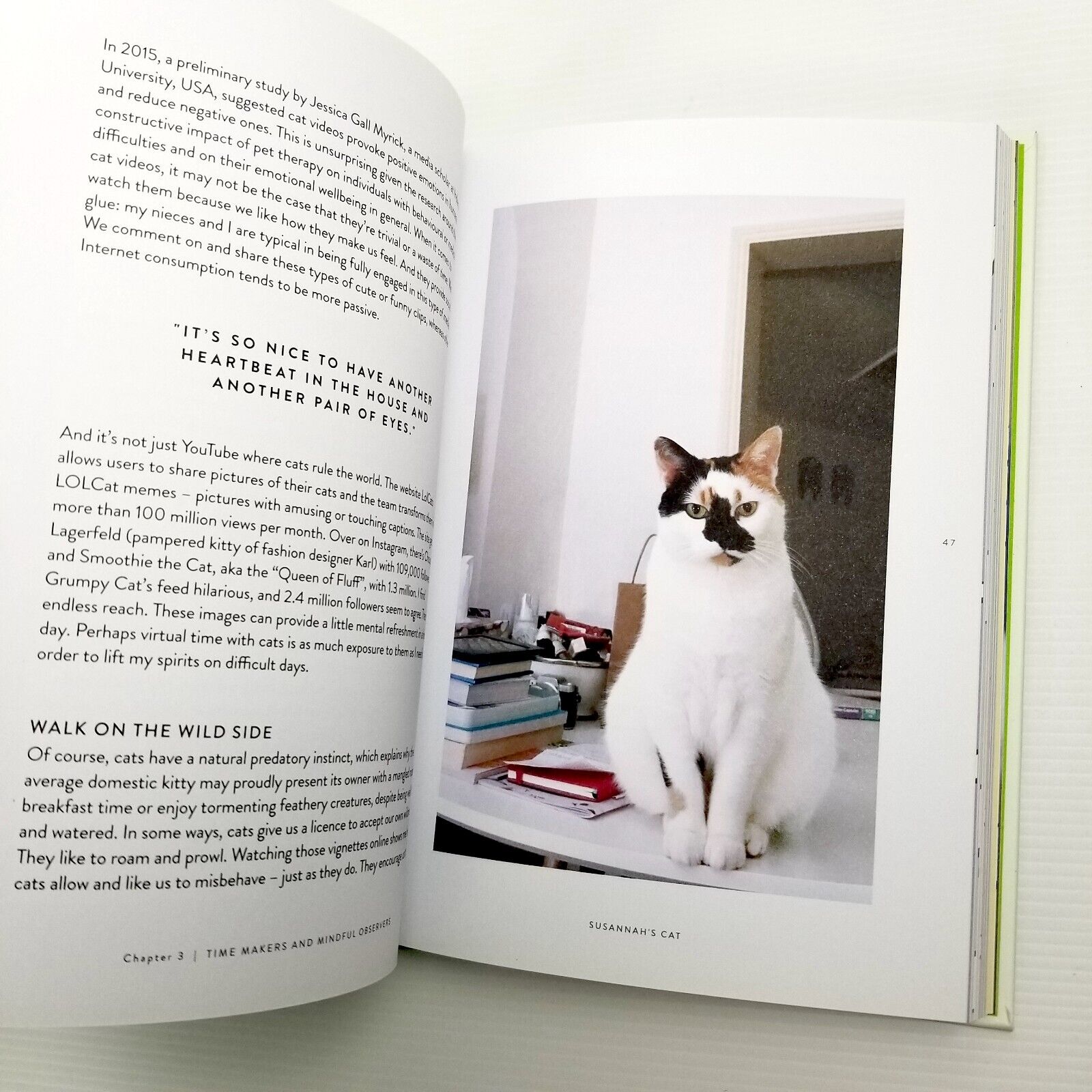 Four-Legged Therapy by dept.store for the mind (Hardcover, 2018) Dog Lover Book