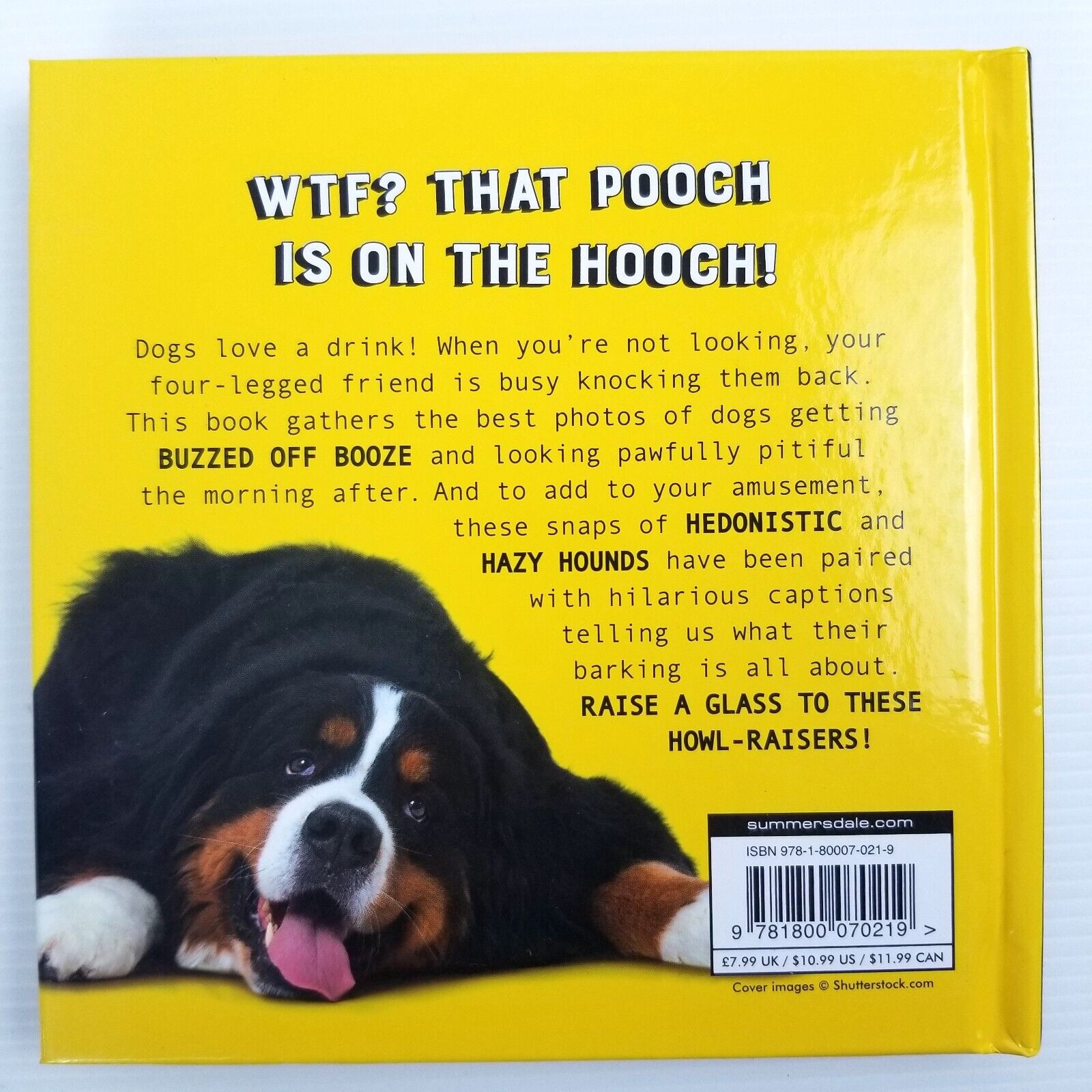 Drunk Dogs: Hilarious Pics of Plastered Pups by Charlie Ellis (Hardcover, 2021)
