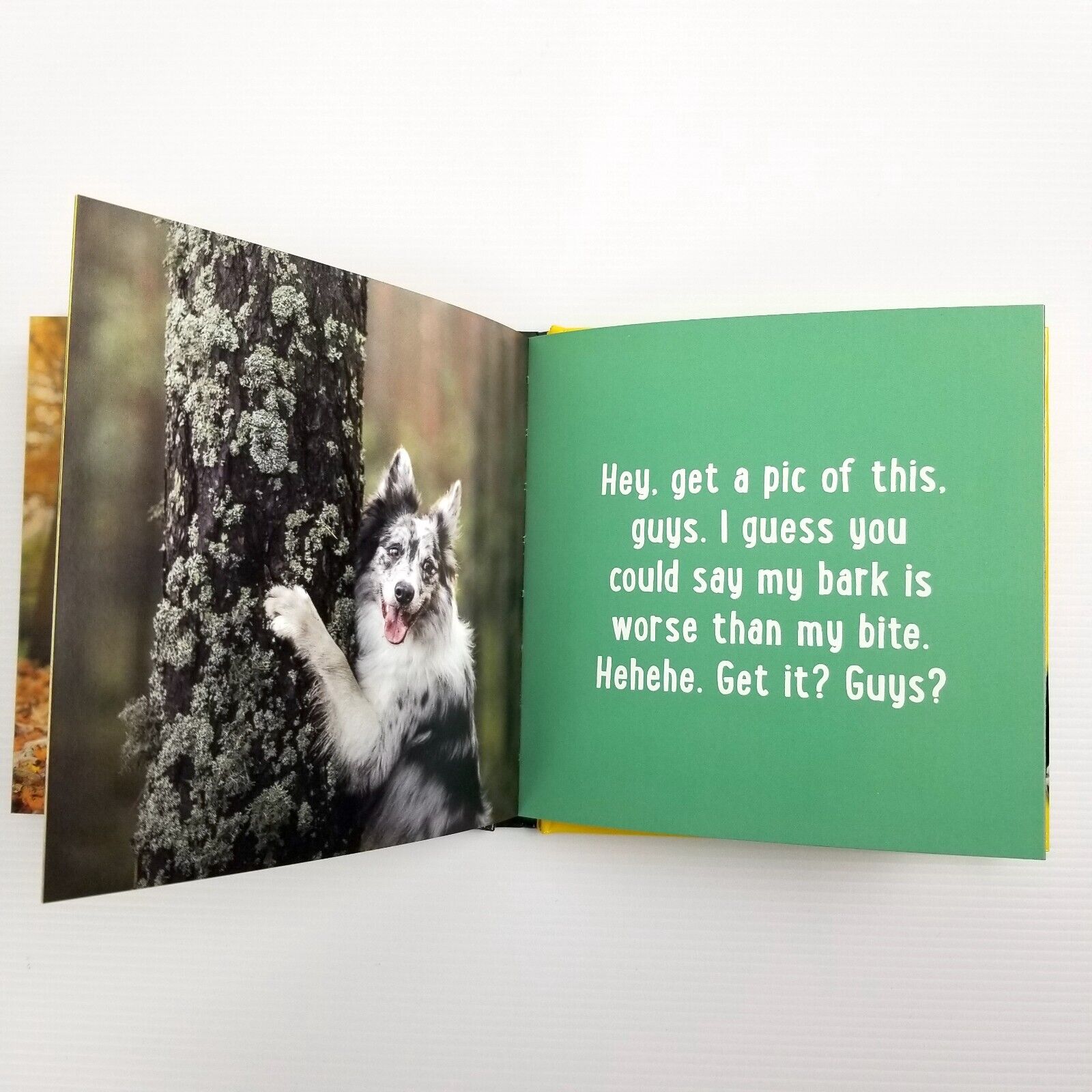 Drunk Dogs: Hilarious Pics of Plastered Pups by Charlie Ellis (Hardcover, 2021)
