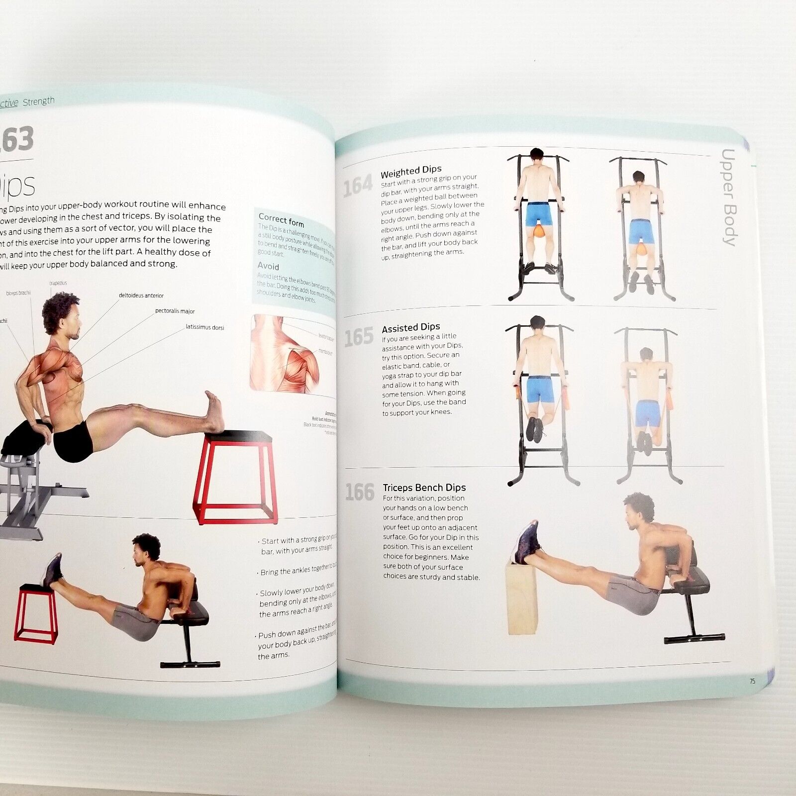 ProActive: Strength by Hinkler Pty Ltd (Paperback, 2021) Fitness Exercise Book