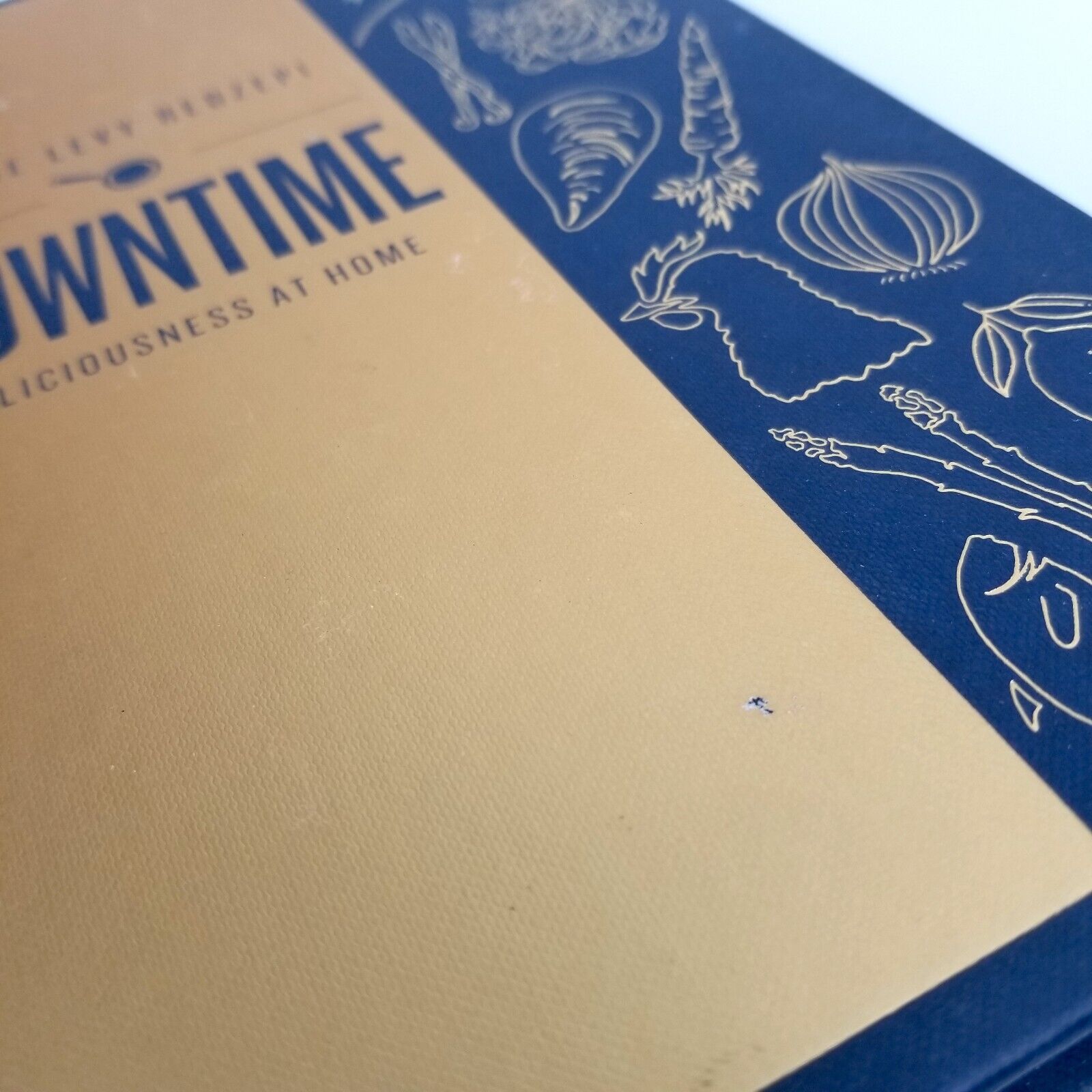 Downtime: Deliciousness at Home: A Cookbook Nadine Levy Redzepi (Hardcover 2017)