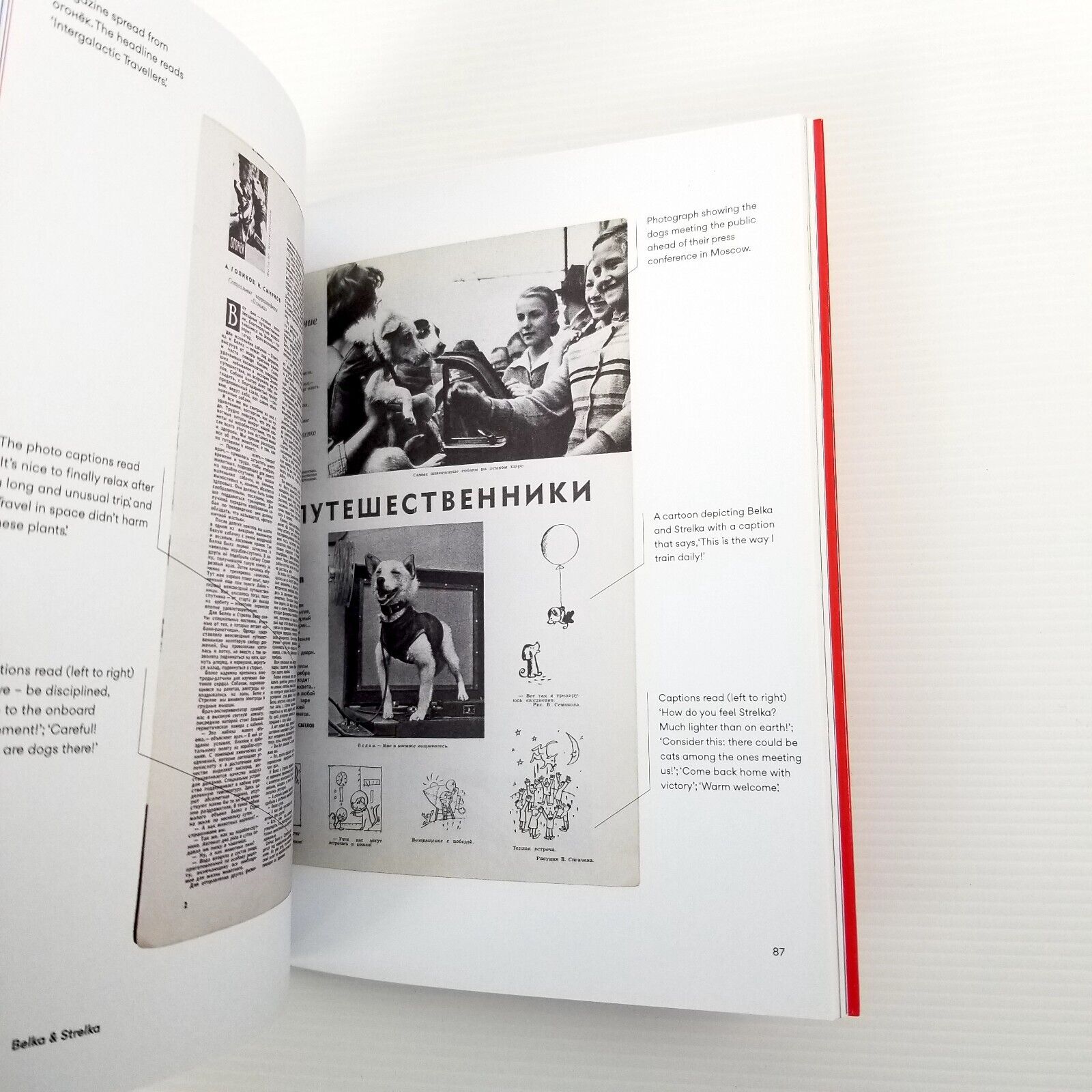 Space Dogs: The Story of the Celebrated Canine Cosmonaut, Martin Parr, Paperback