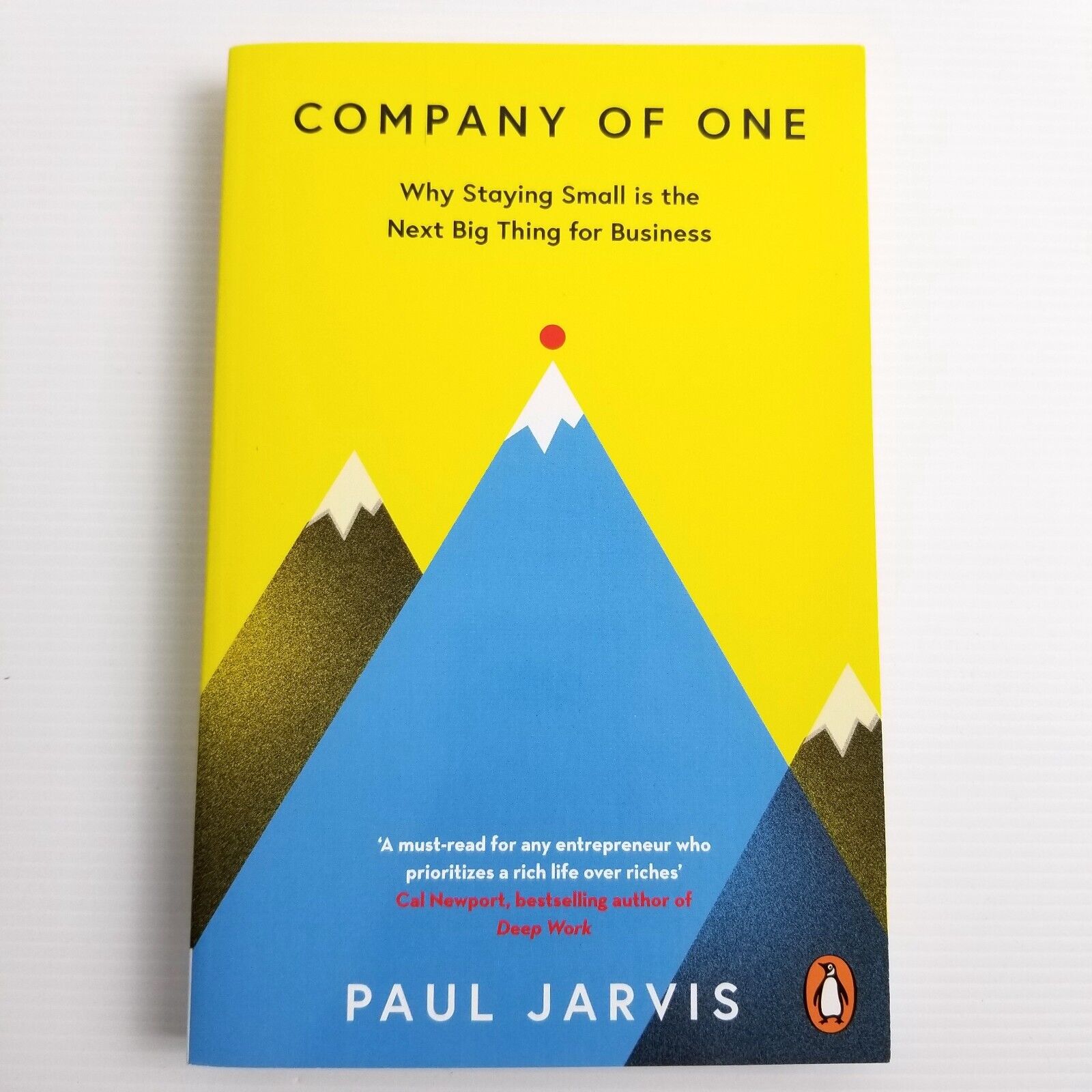 Company of One by Paul Jarvis, Paperback 2023, Entrepreneur, Small Business Book