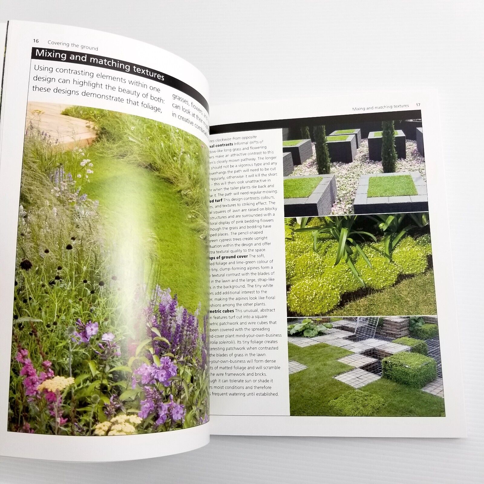 Lawns and Ground Cover by Royal Horticultural Society, Paperback 2012, Gardening