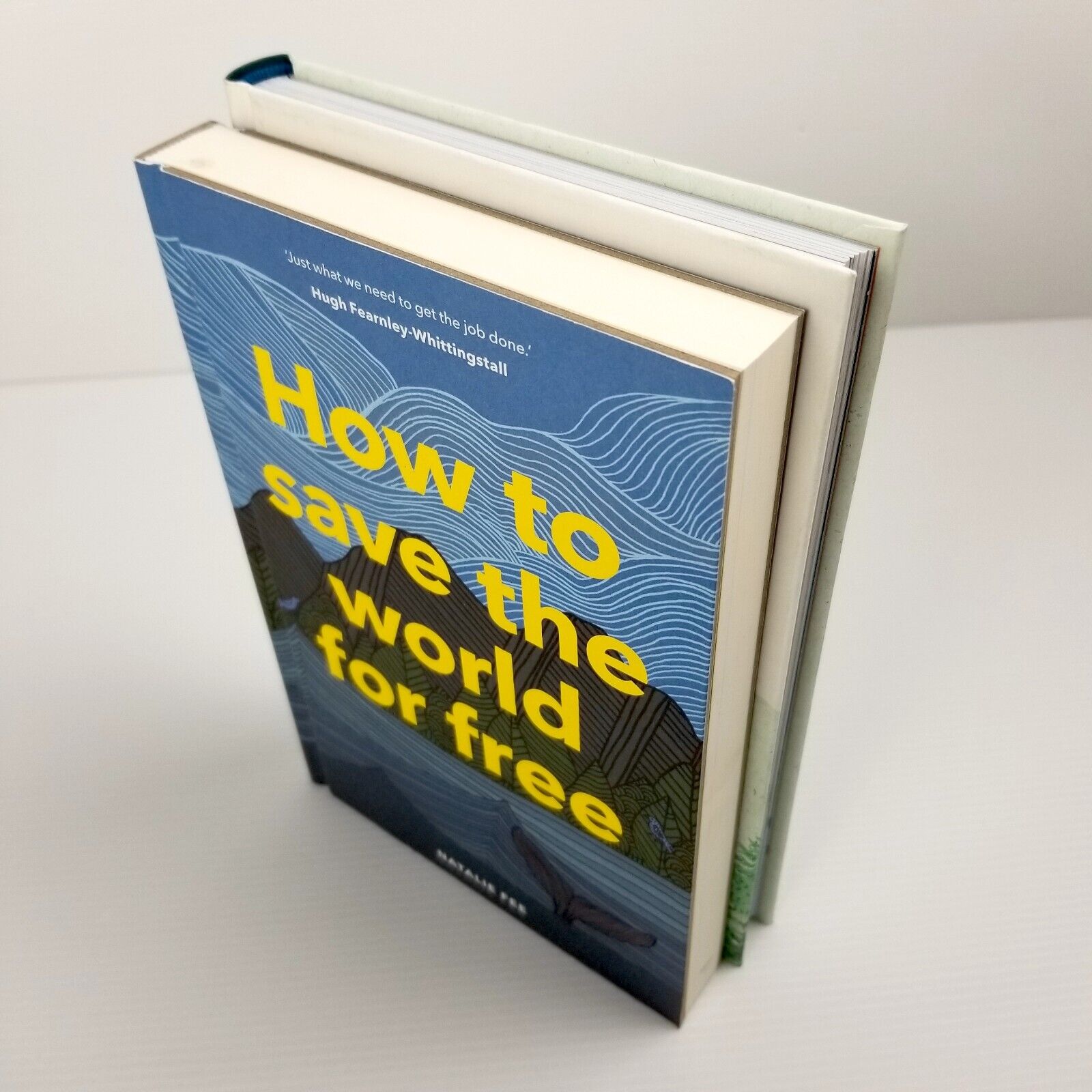 2pcs Go Lightly & How to Save the World For Free, Hardcover, Sustainability Tips