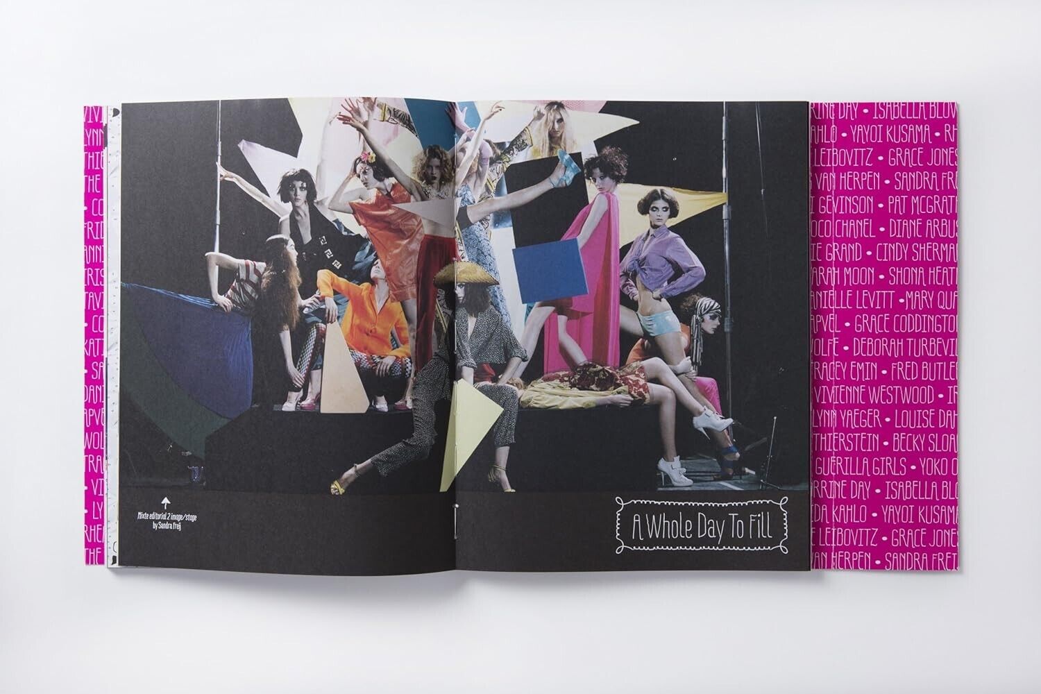 DIY Fashion Shoot Book by Celia Willis, Emily Stein (Paperback 2014) Photo Girls