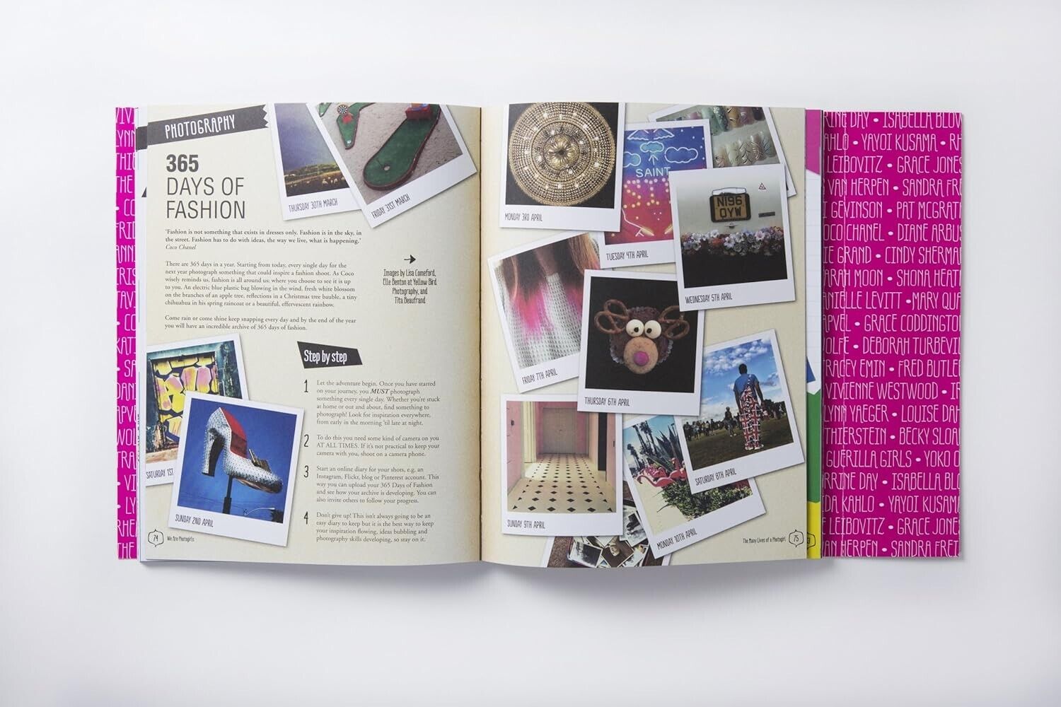 DIY Fashion Shoot Book by Celia Willis, Emily Stein (Paperback 2014) Photo Girls