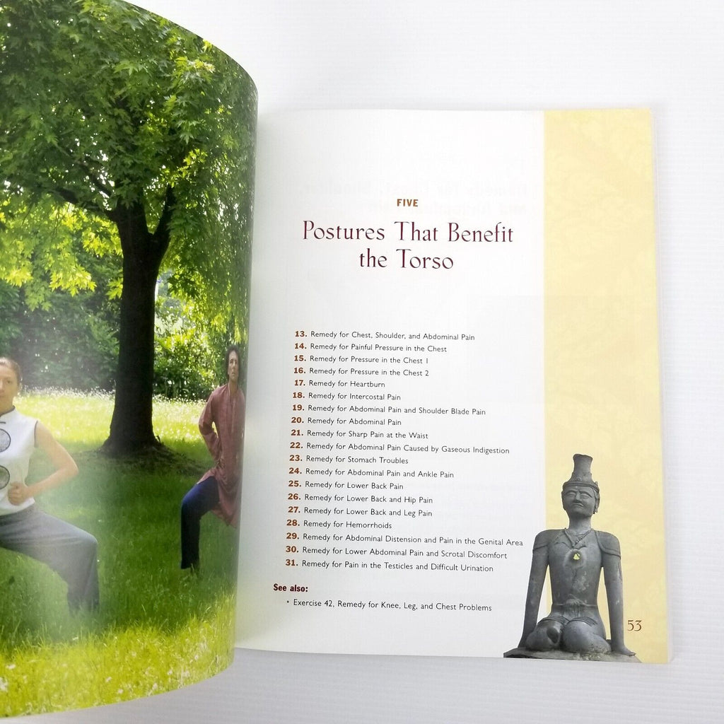 Traditional Thai Yoga: The Postures and Healing Practices of Ruesri Dat Ton Book