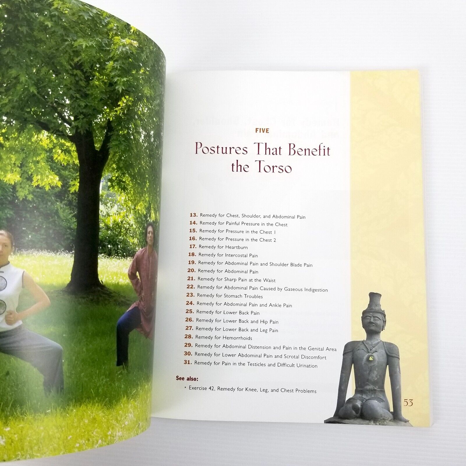 Traditional Thai Yoga: The Postures and Healing Practices of Ruesri Dat Ton Book