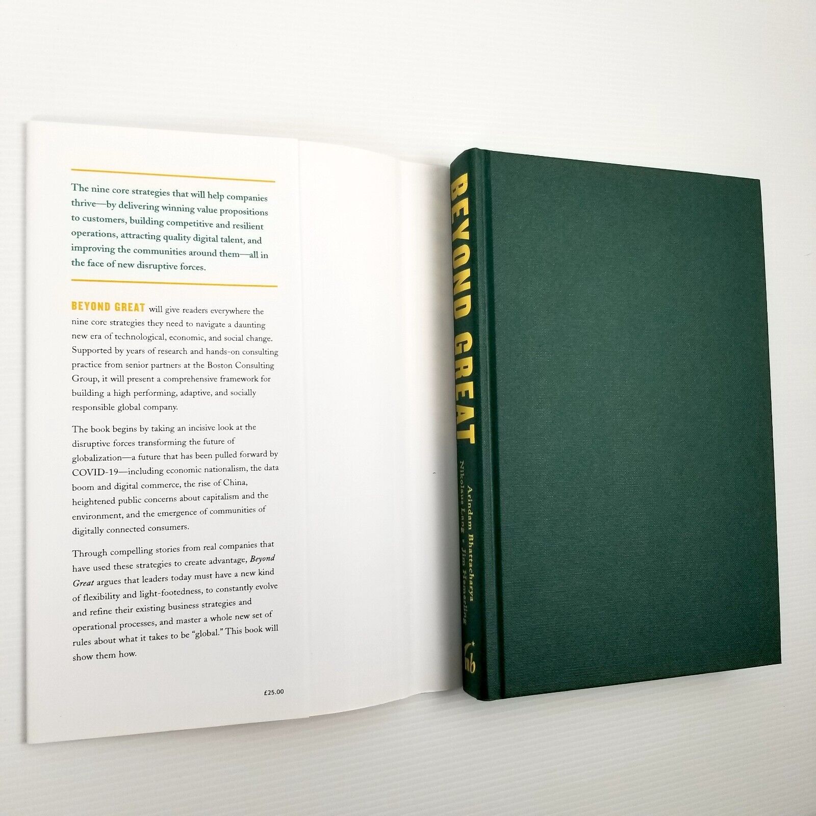 Beyond Great: Nine Strategies for Thriving in an Era of Social Tension, Economic