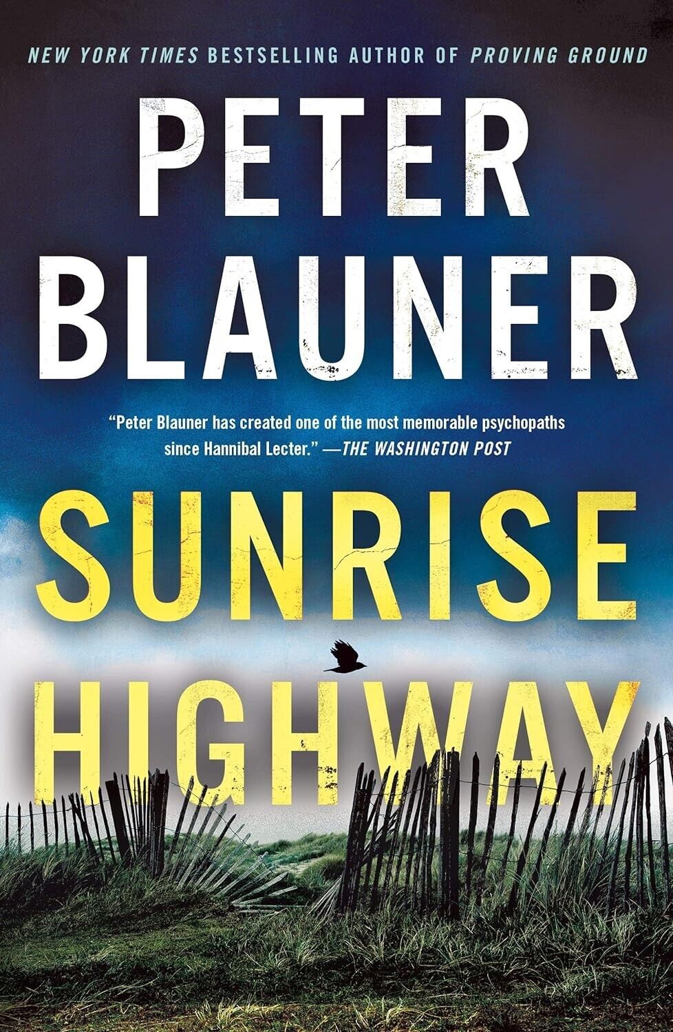 Sunrise Highway by Peter Blauner Book 2 of Lourdes Robles, Paperback 2019 Book