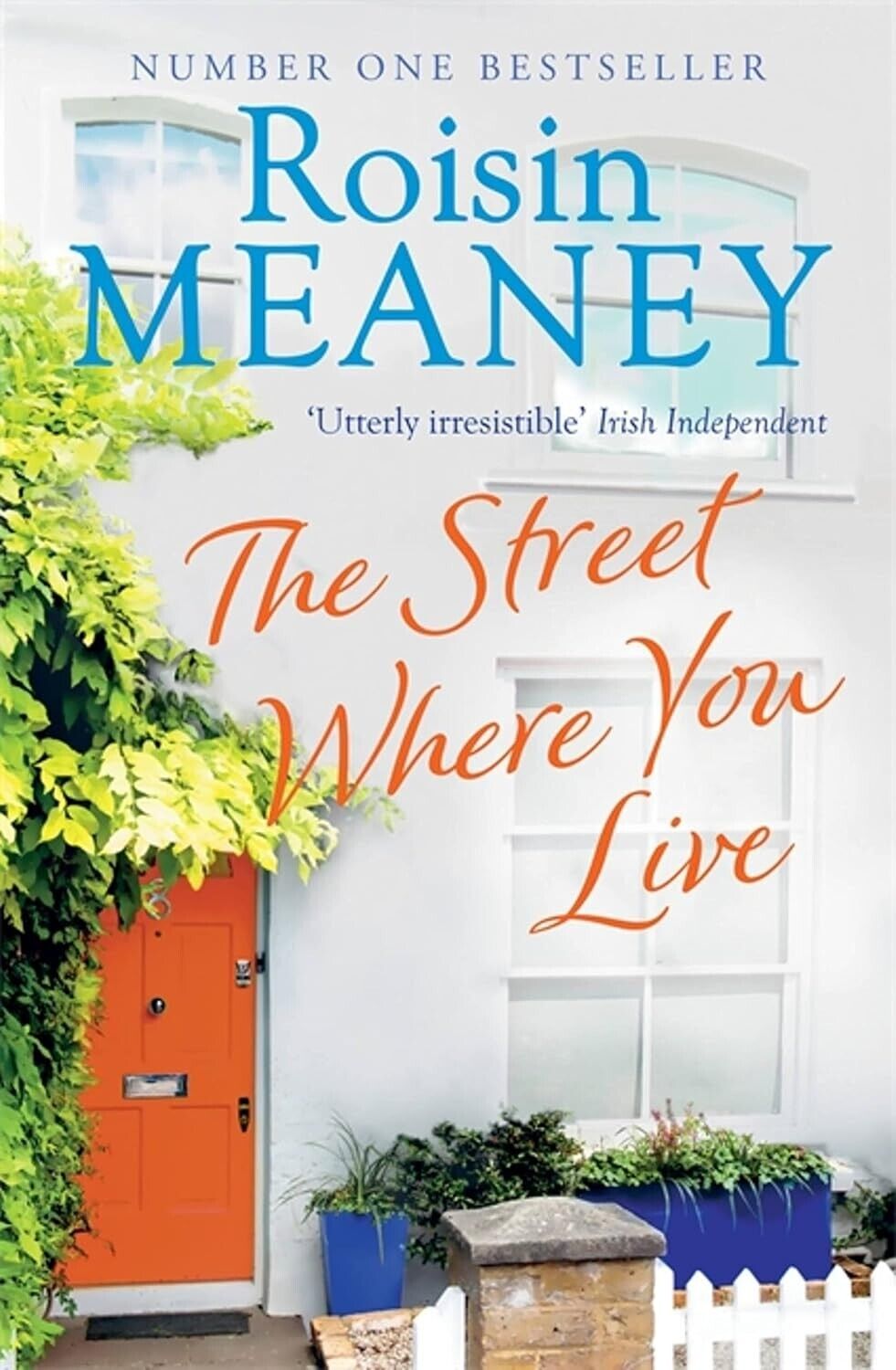 The Street Where You Live by Roisin Meaney (Paperback, 2017) Chick Lit Fiction