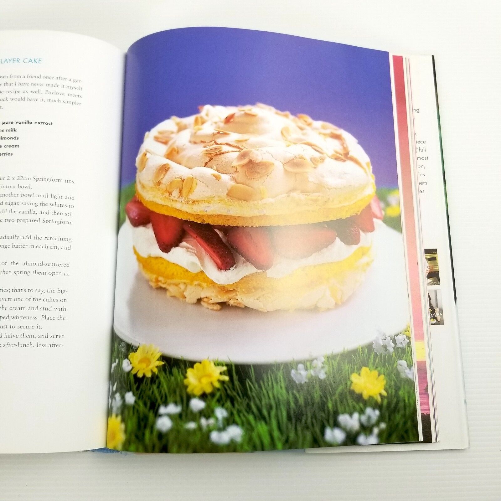 Forever Summer by Nigella Lawson (Hardcover, 2005) Cookbook Recipes Dust Jacket