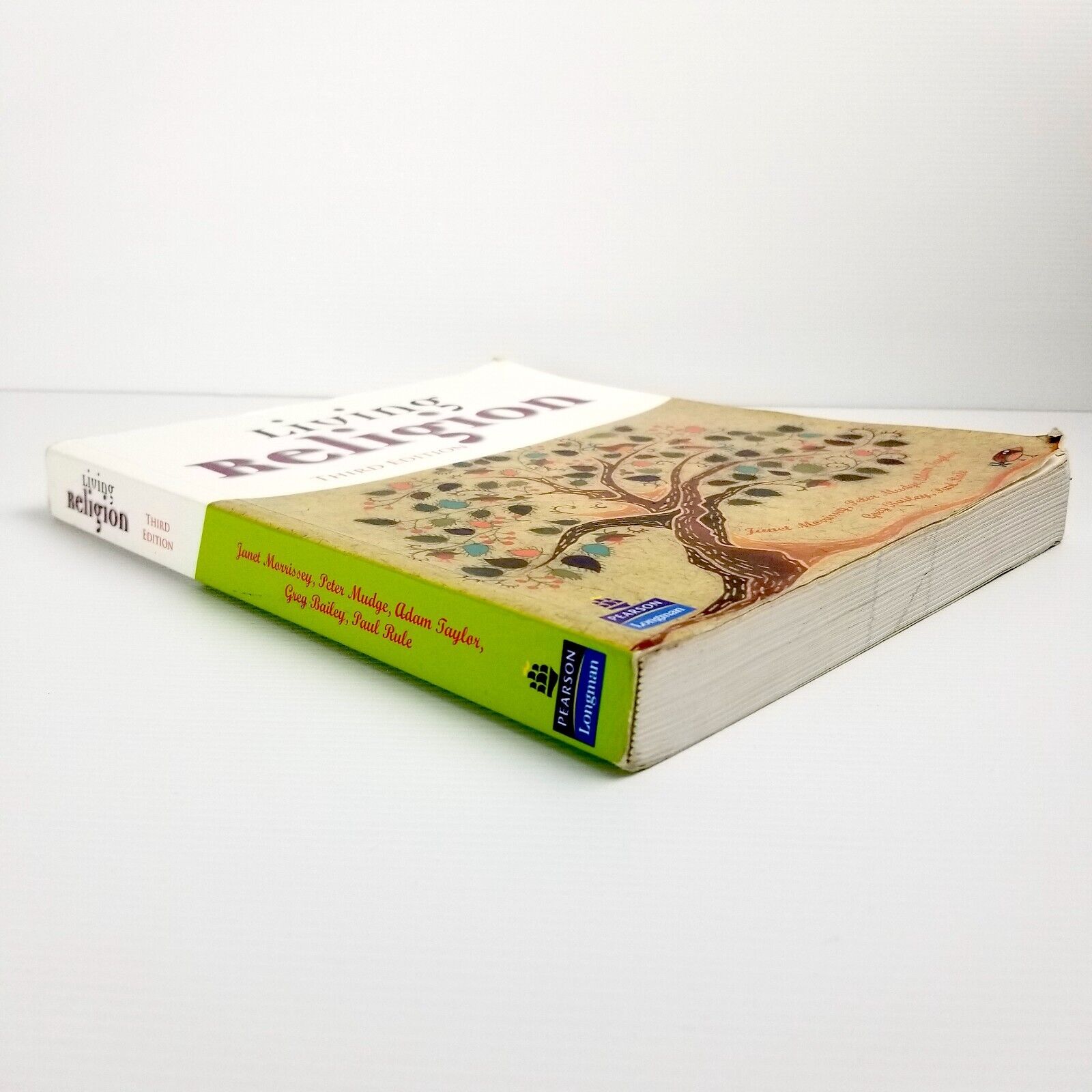 Living Religion by Morrissey (Paperback, 2005) Third Edition 3RD ED Textbook