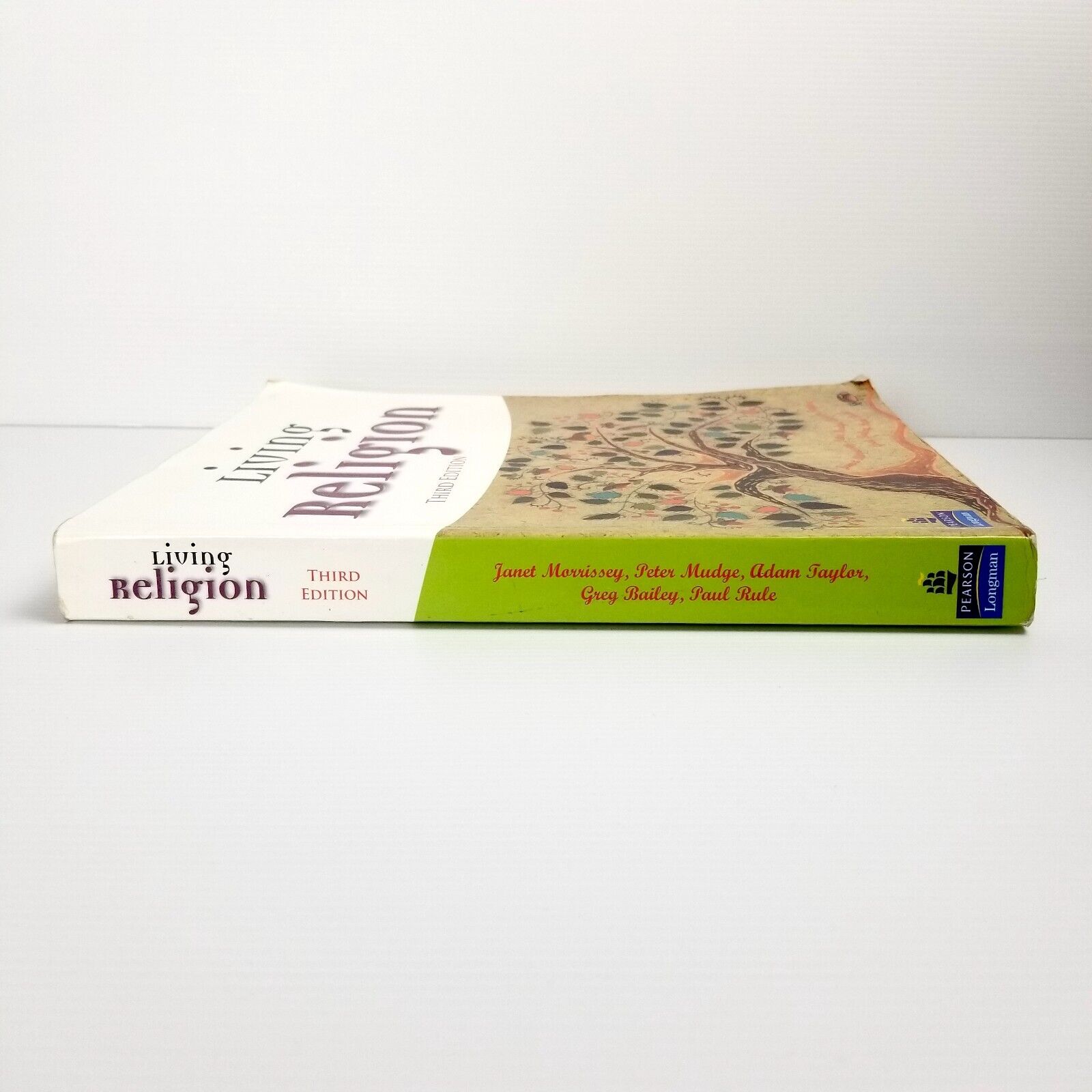 Living Religion by Morrissey (Paperback, 2005) Third Edition 3RD ED Textbook