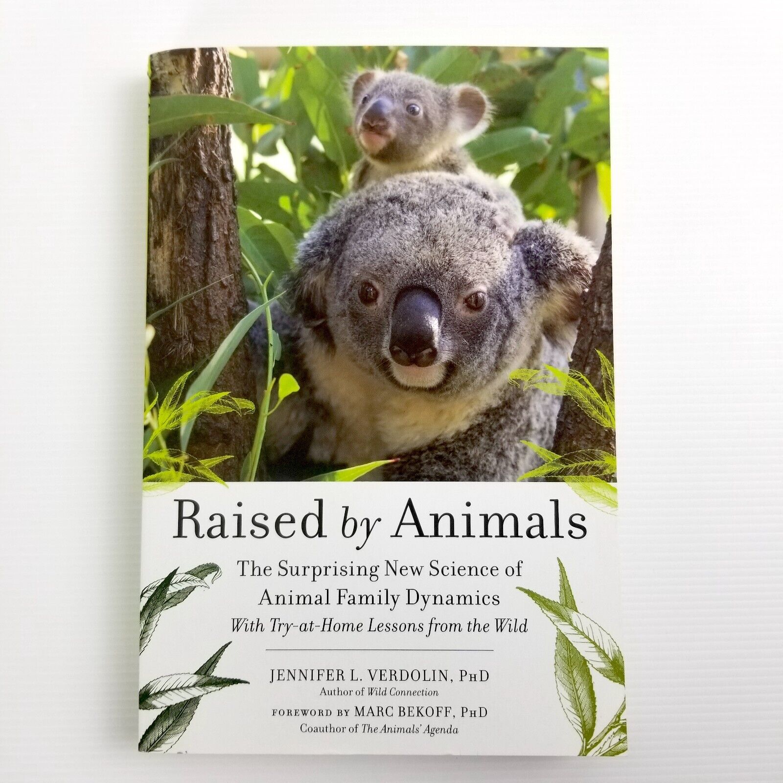 Raised by Animals by biologist Jennifer Verdolin PhD (Paperback, 2017)