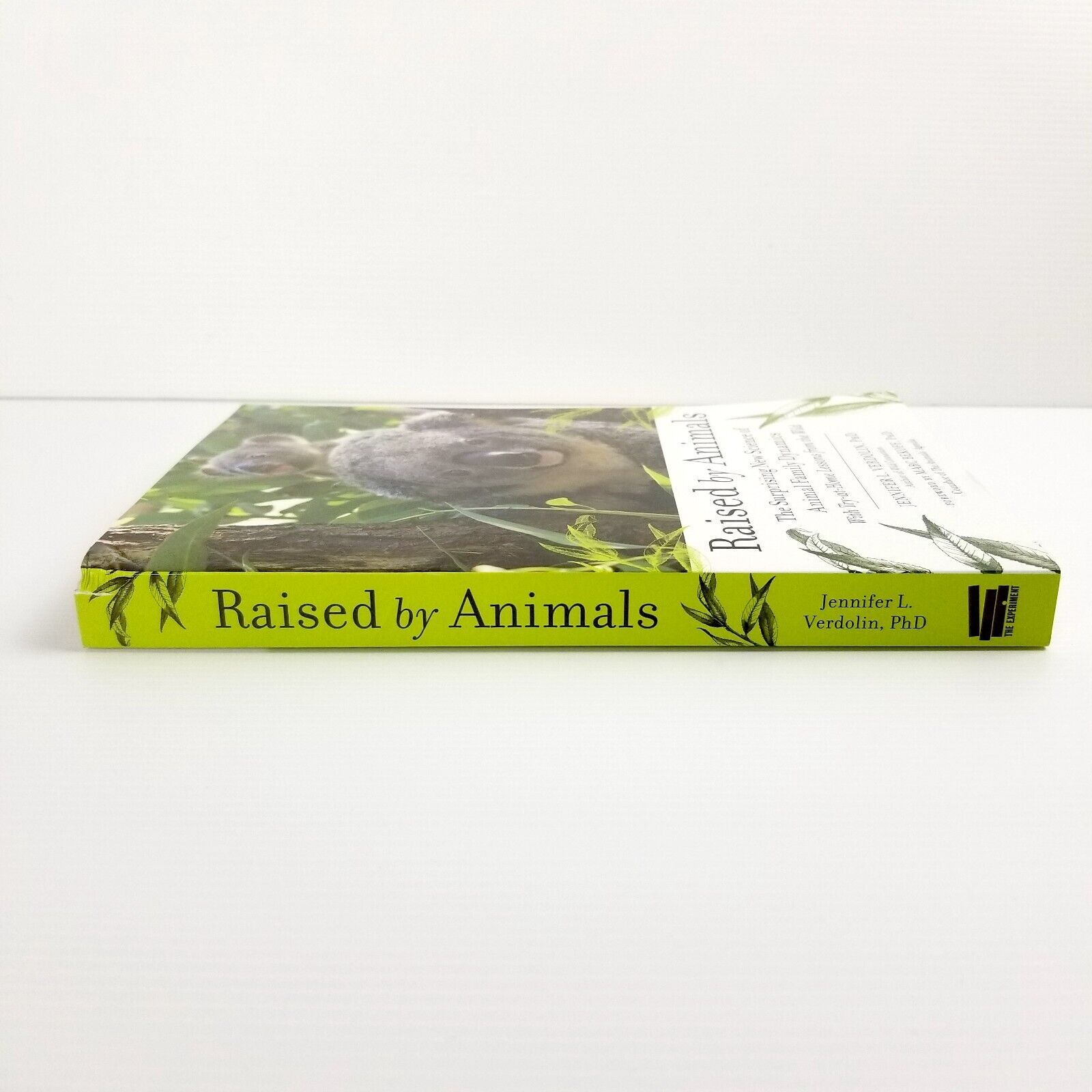 Raised by Animals by biologist Jennifer Verdolin PhD (Paperback, 2017)