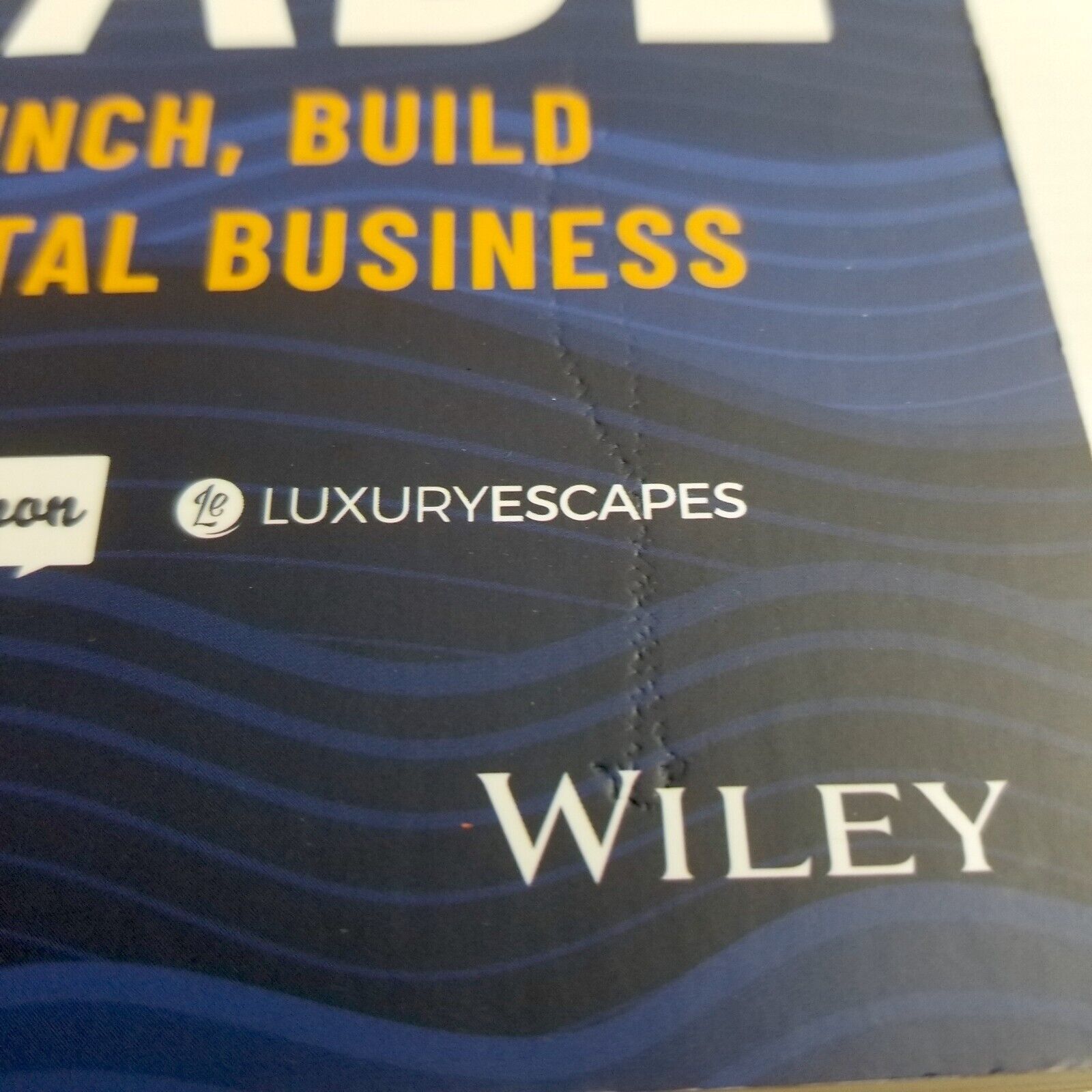 Catch of the Decade: How to Launch, Build and Sell a Digital Business, Leibovich