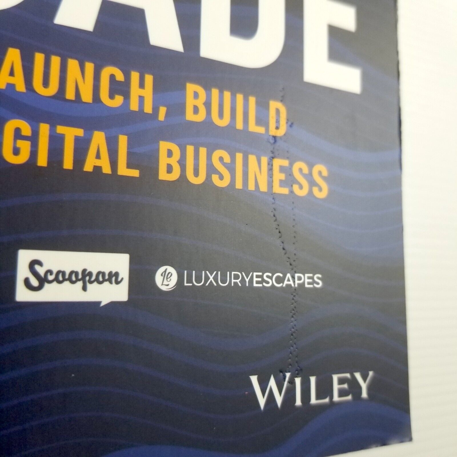 Catch of the Decade: How to Launch, Build and Sell a Digital Business, Leibovich