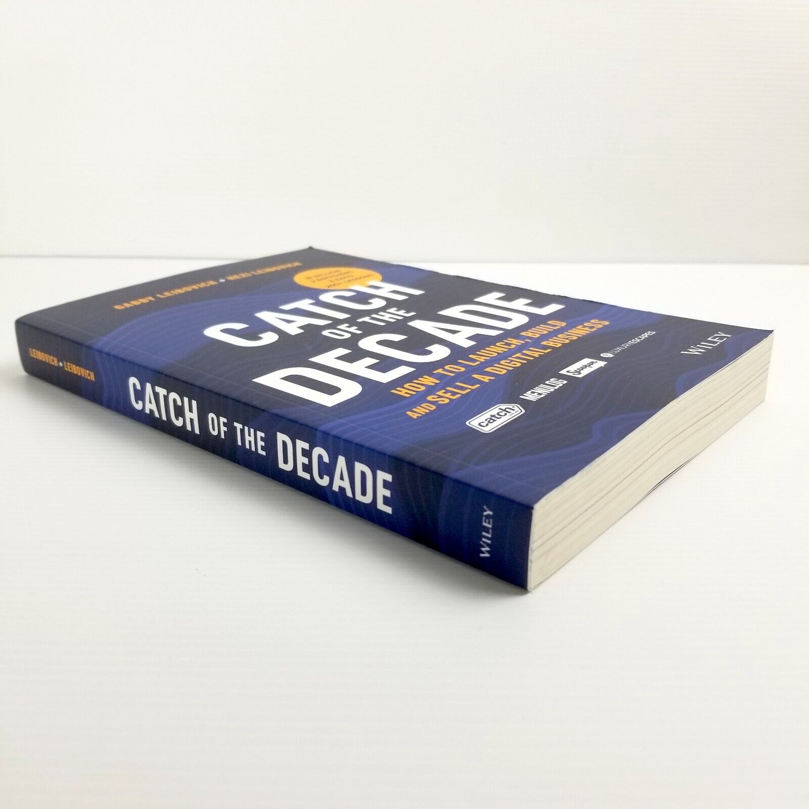 Catch of the Decade: How to Launch, Build and Sell a Digital Business, Leibovich