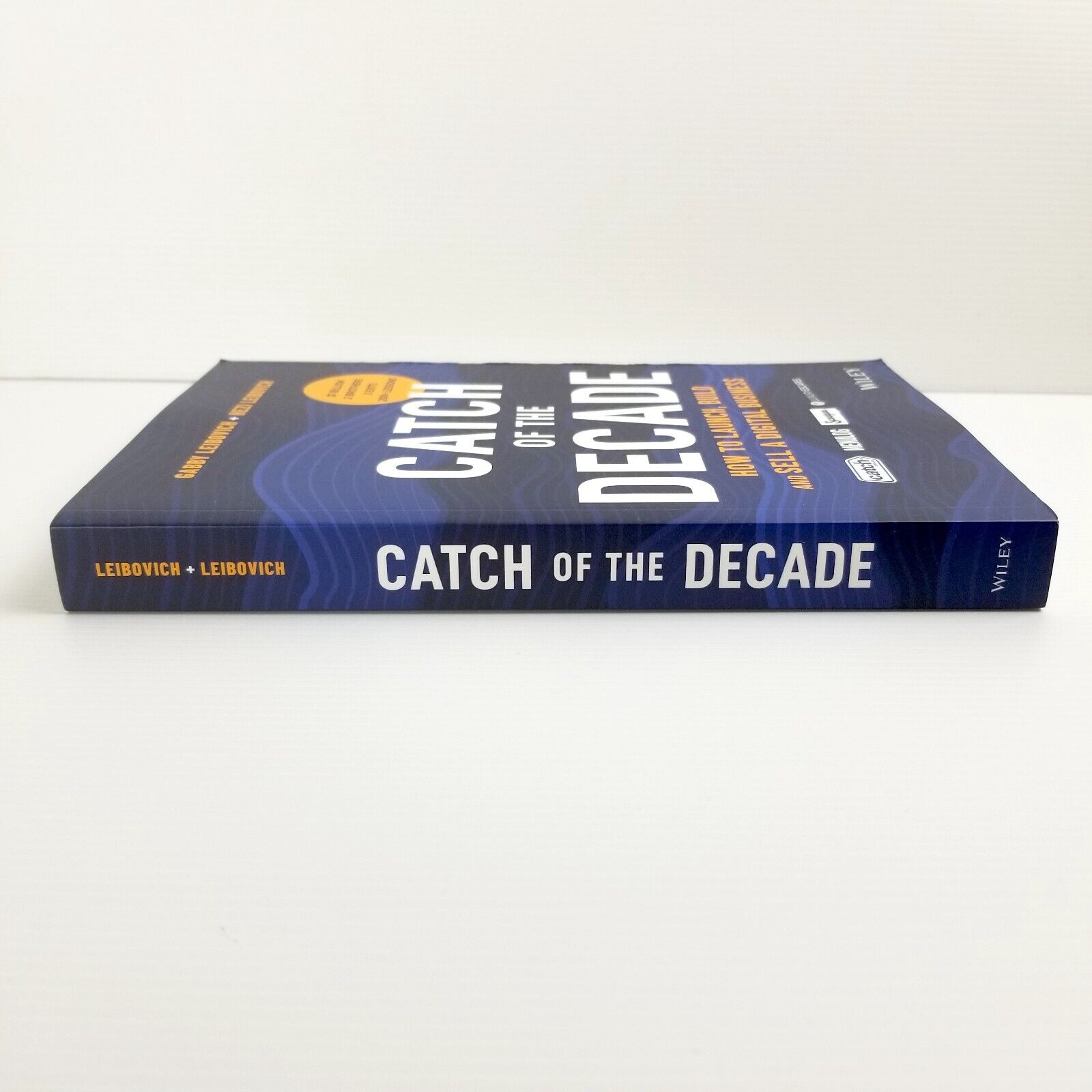 Catch of the Decade: How to Launch, Build and Sell a Digital Business, Leibovich