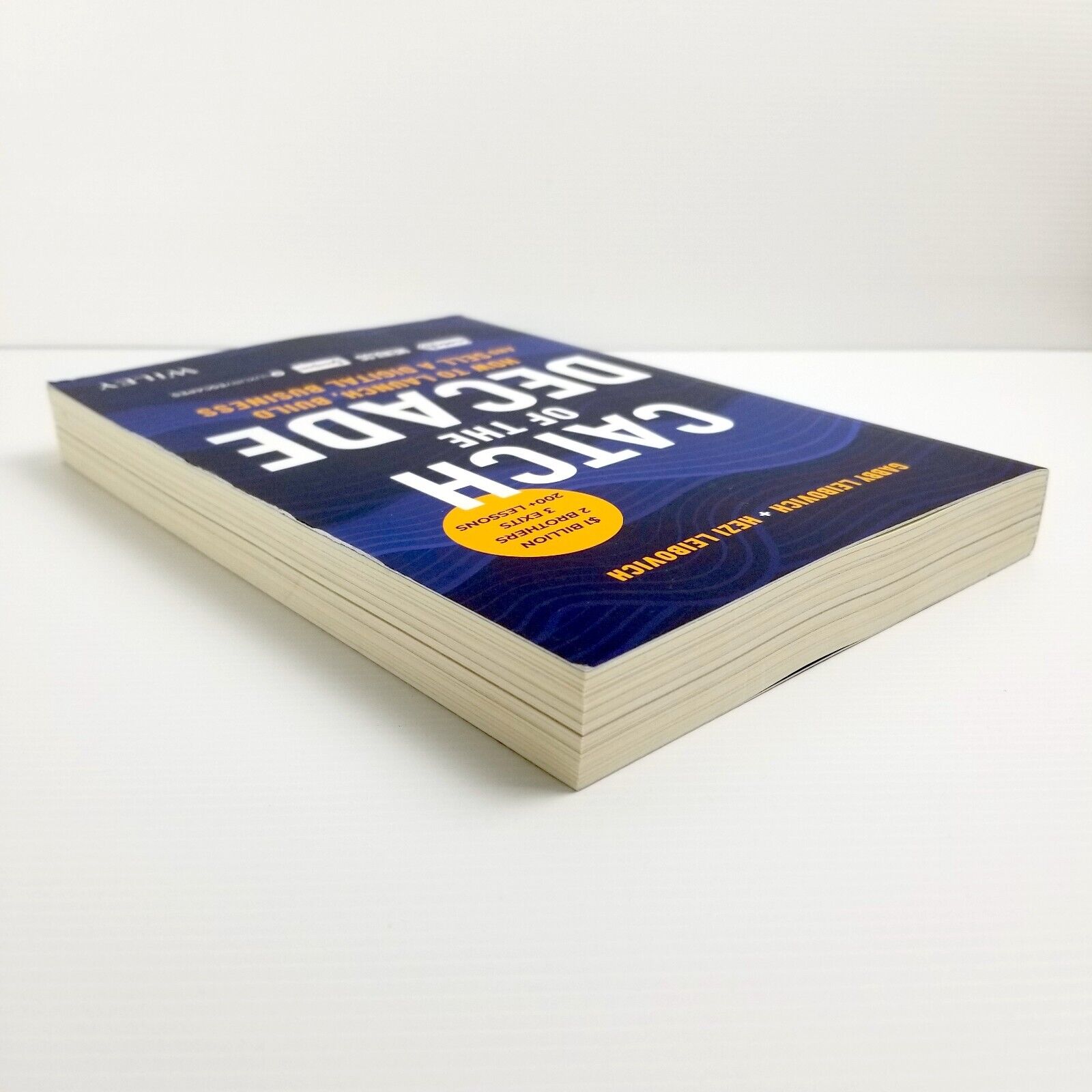 Catch of the Decade: How to Launch, Build and Sell a Digital Business, Leibovich