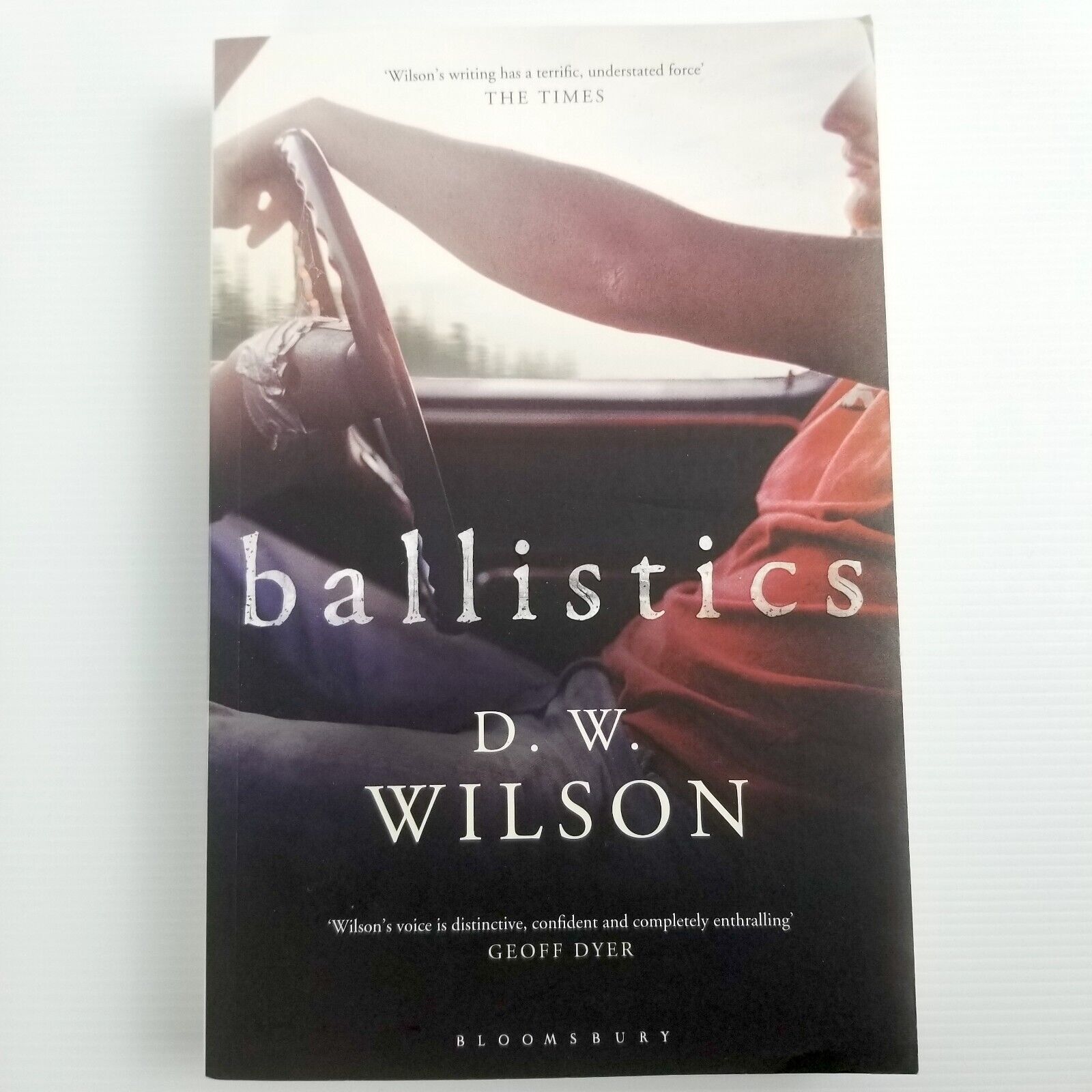 Ballistics by D. W. Wilson (Paperback, 2013)