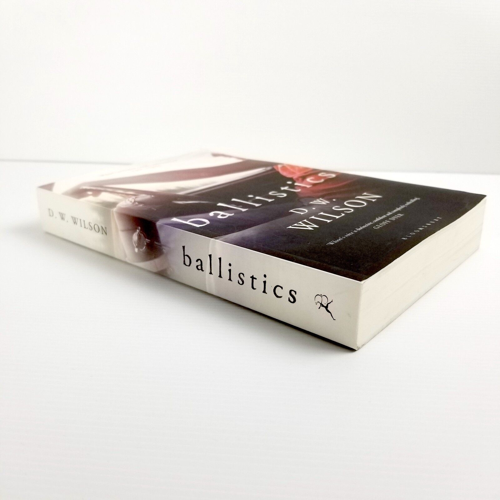 Ballistics by D. W. Wilson (Paperback, 2013)