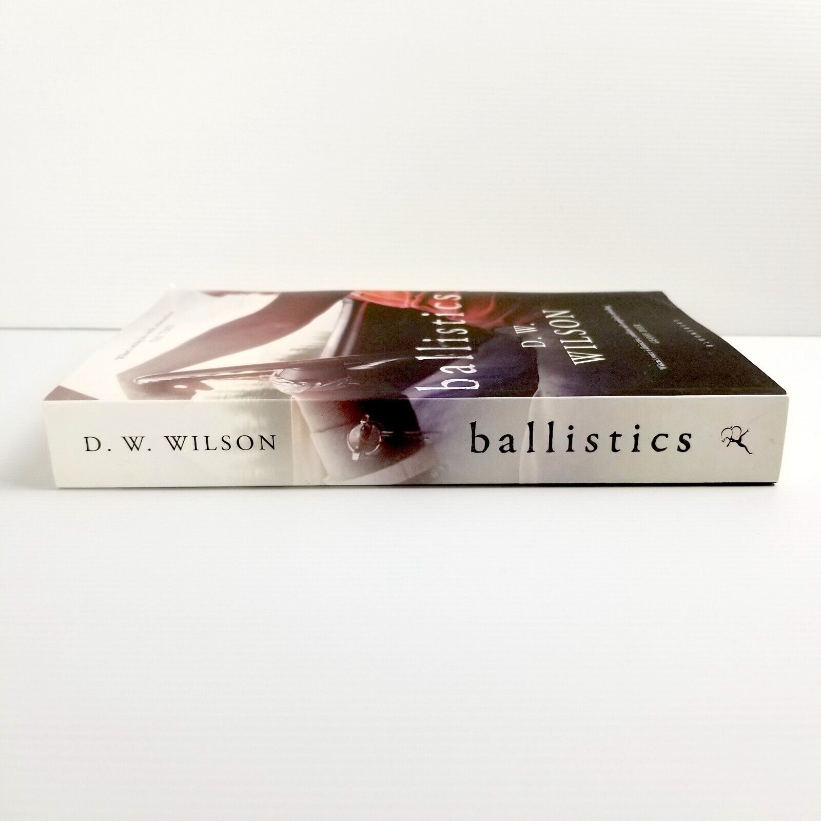 Ballistics by D. W. Wilson (Paperback, 2013)