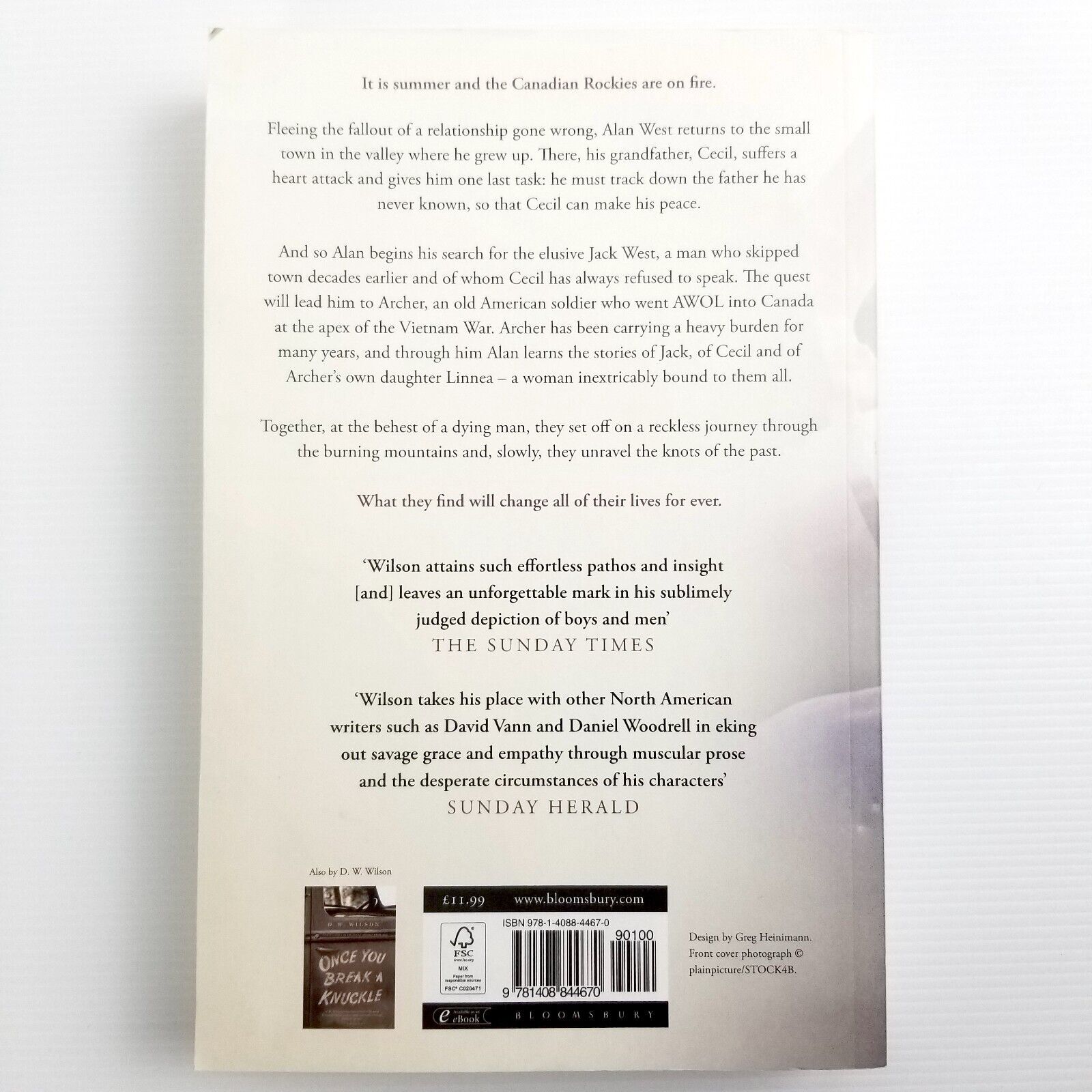Ballistics by D. W. Wilson (Paperback, 2013)