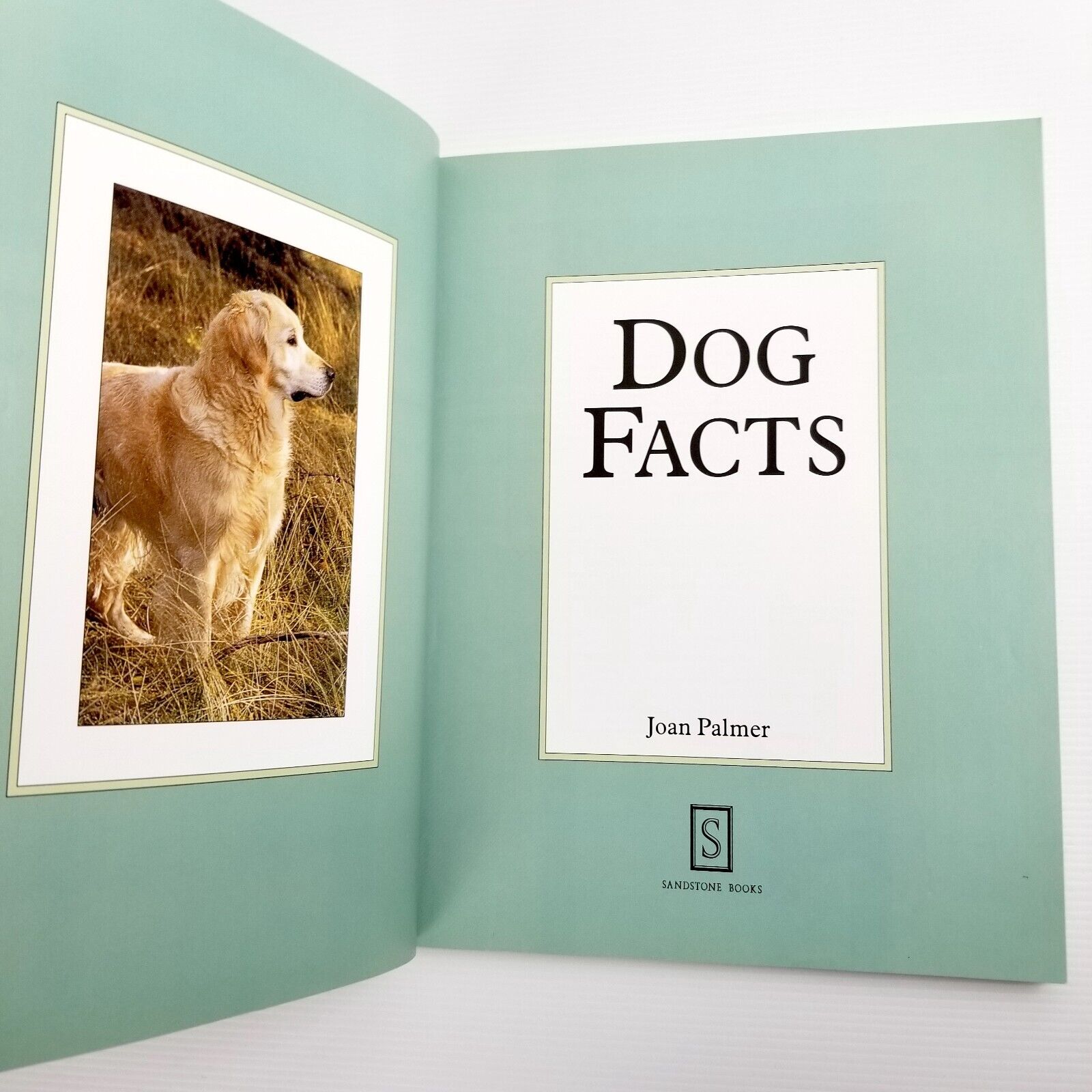 Dog Facts By Joan Palmer (Paperback, 1997) Picture Book