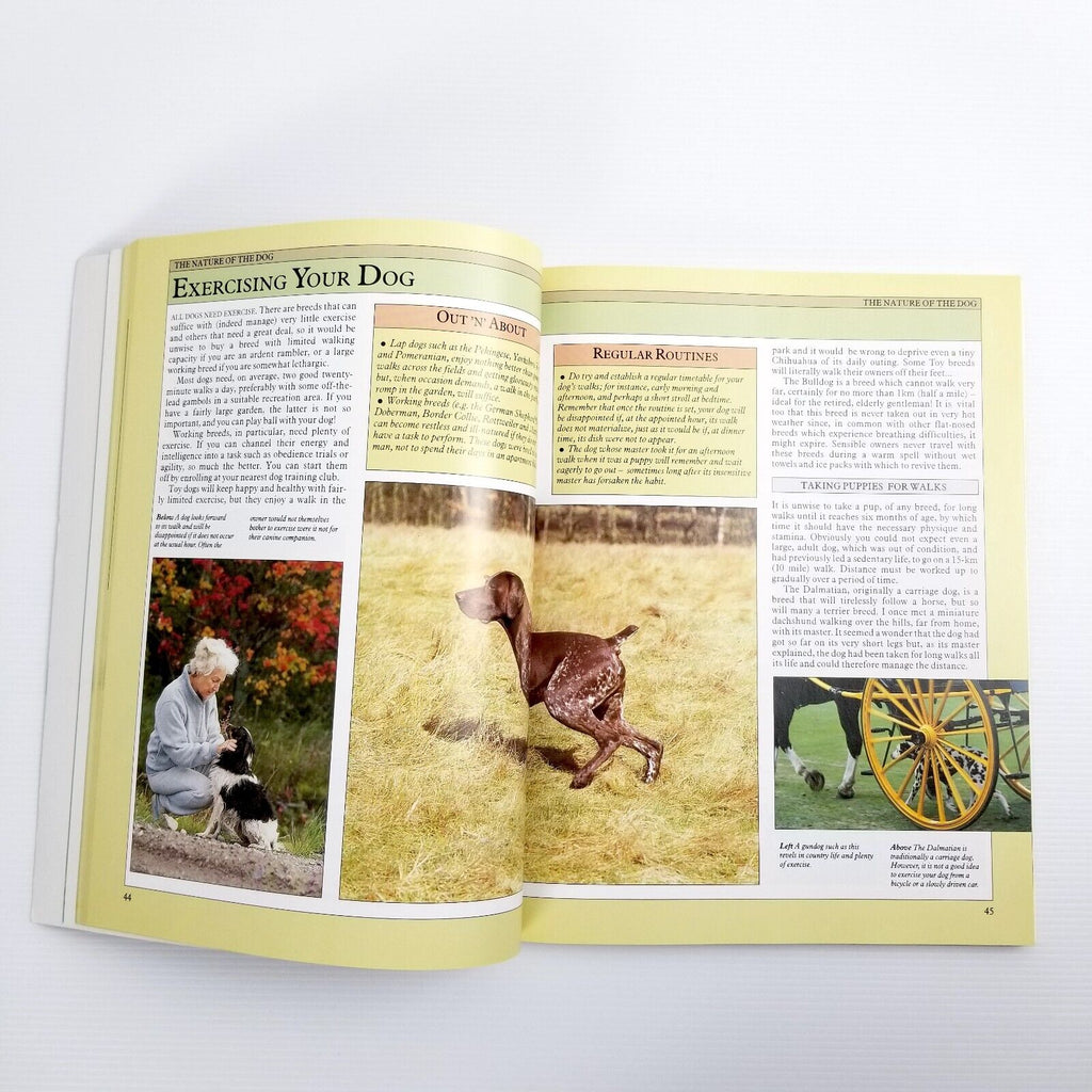Dog Facts By Joan Palmer (Paperback, 1997) Picture Book