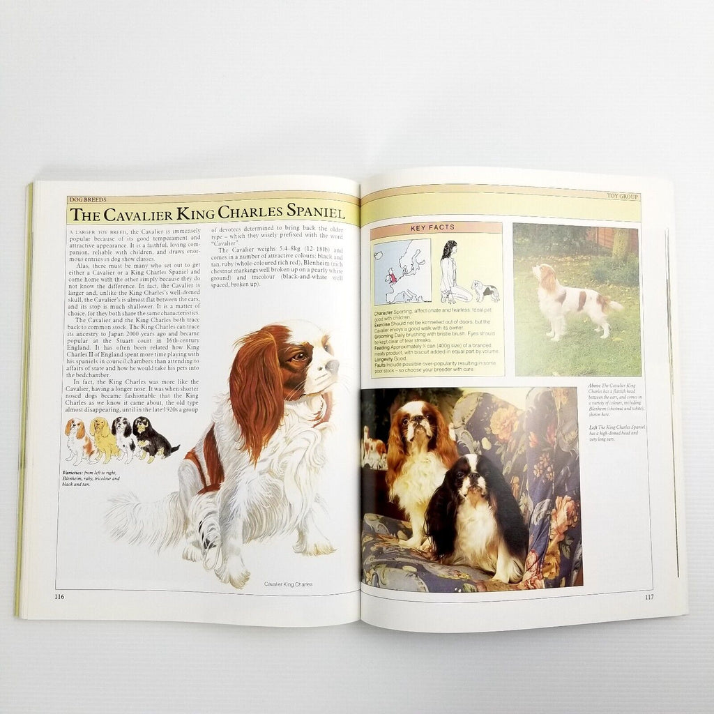 Dog Facts By Joan Palmer (Paperback, 1997) Picture Book