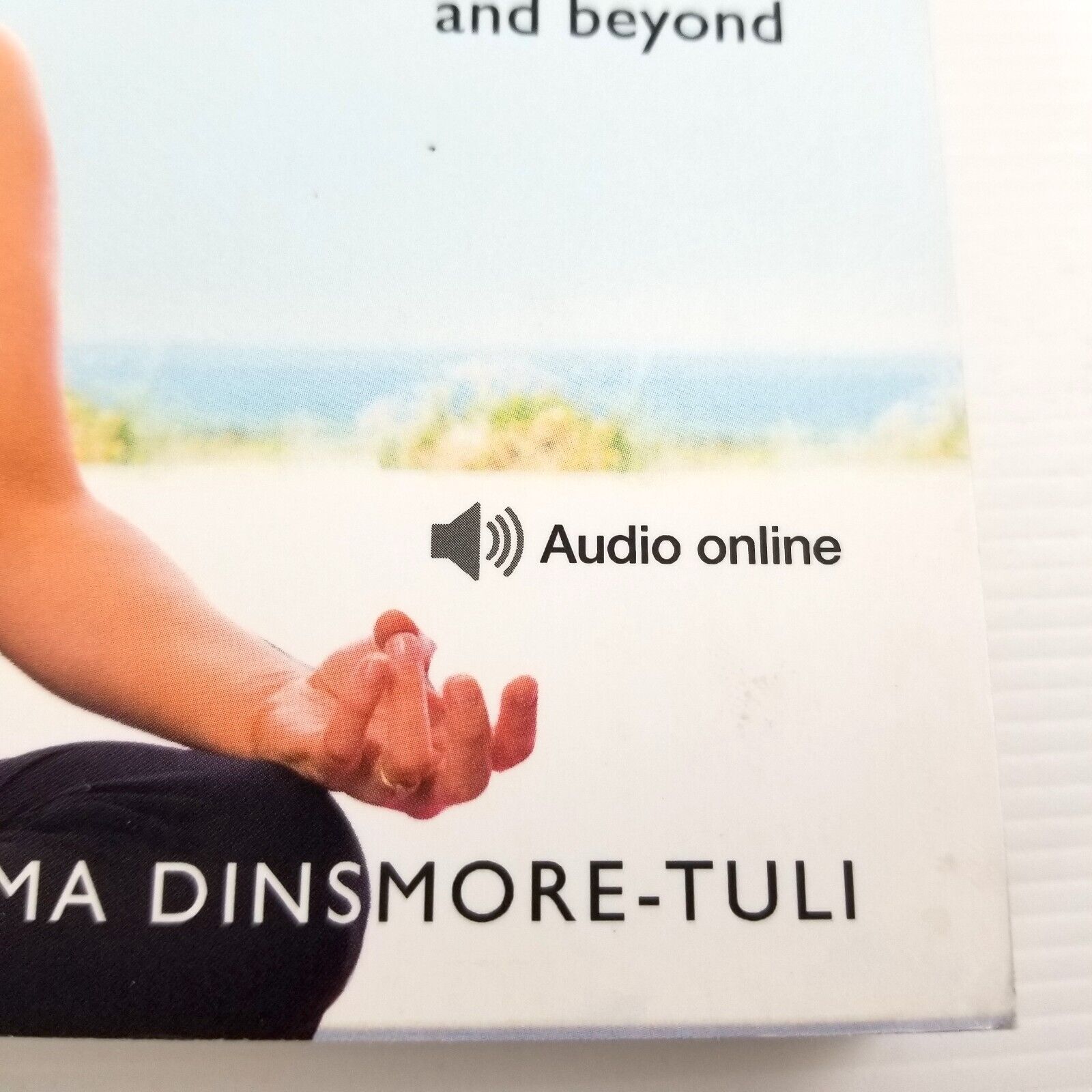 Yoga For Pregnancy And Birth: Teach Yourself by Uma Dinsmore-Tuli Paperback 2010