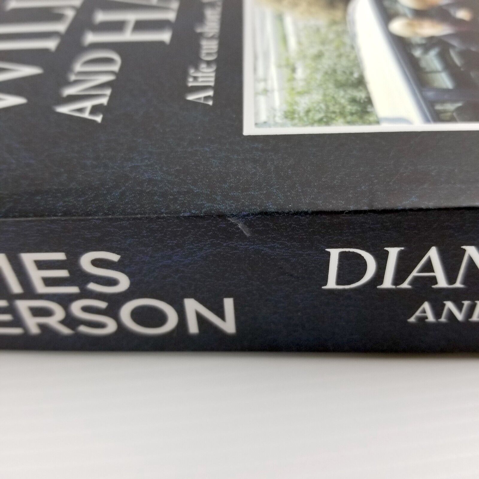 Diana, William and Harry By James Patterson (Paperback 2022) Princess Diana