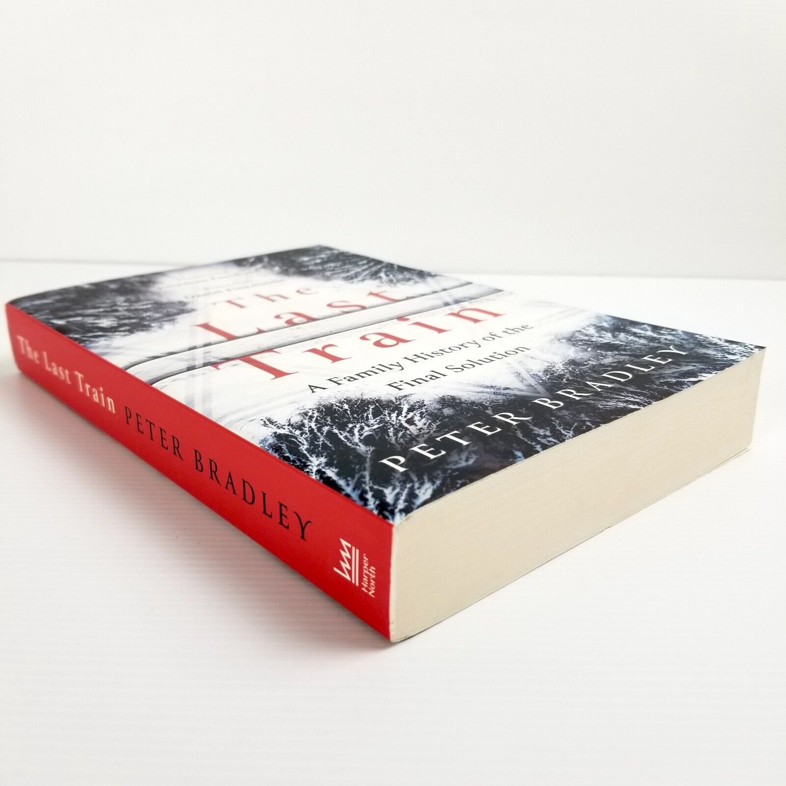 The Last Train: A Family History of the Final Solution - Peter Bradley Paperback