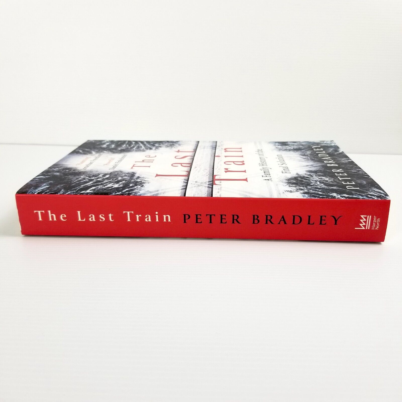 The Last Train: A Family History of the Final Solution - Peter Bradley Paperback