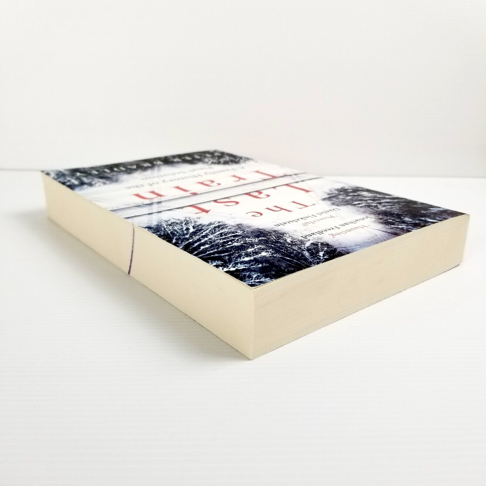 The Last Train: A Family History of the Final Solution - Peter Bradley Paperback