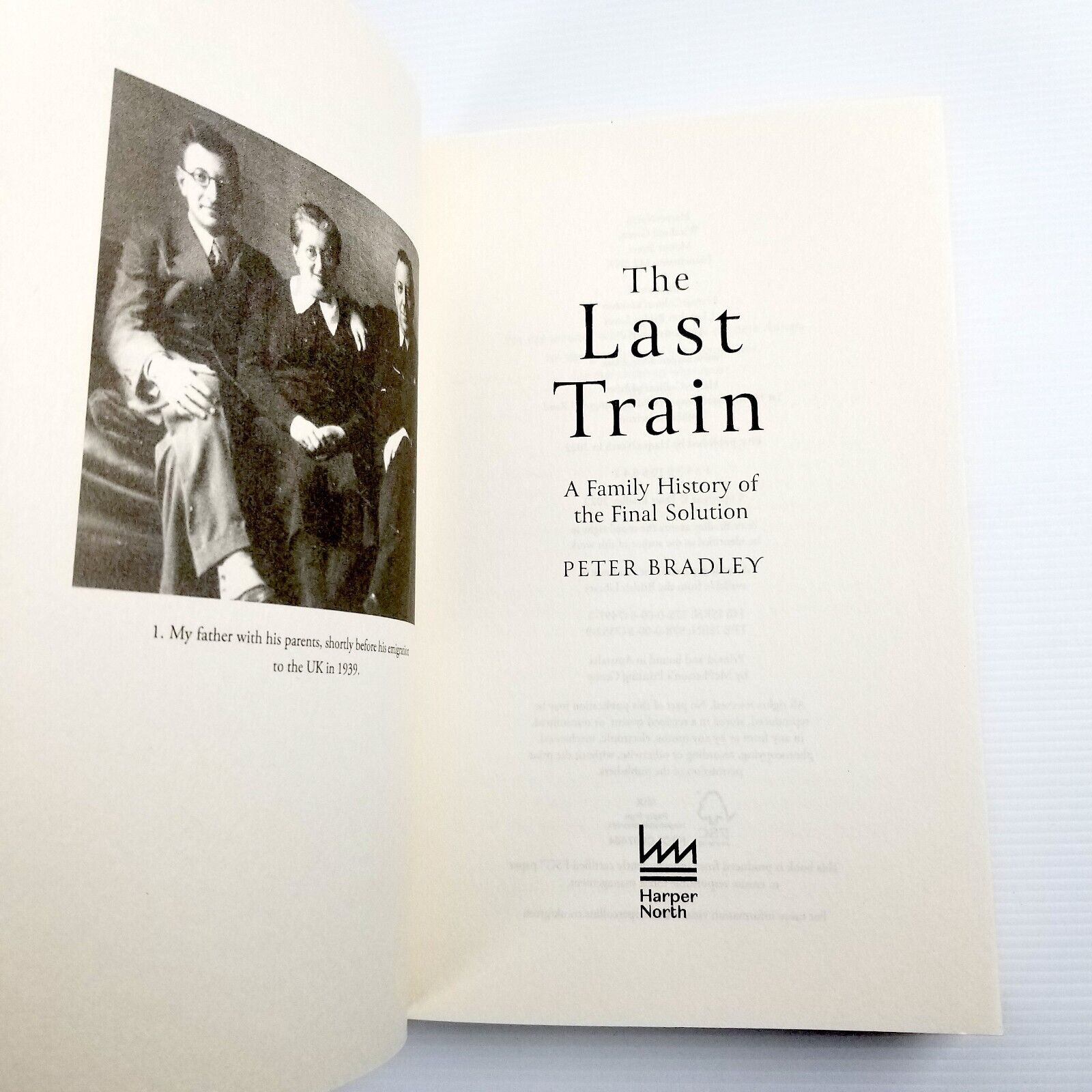 The Last Train: A Family History of the Final Solution - Peter Bradley Paperback