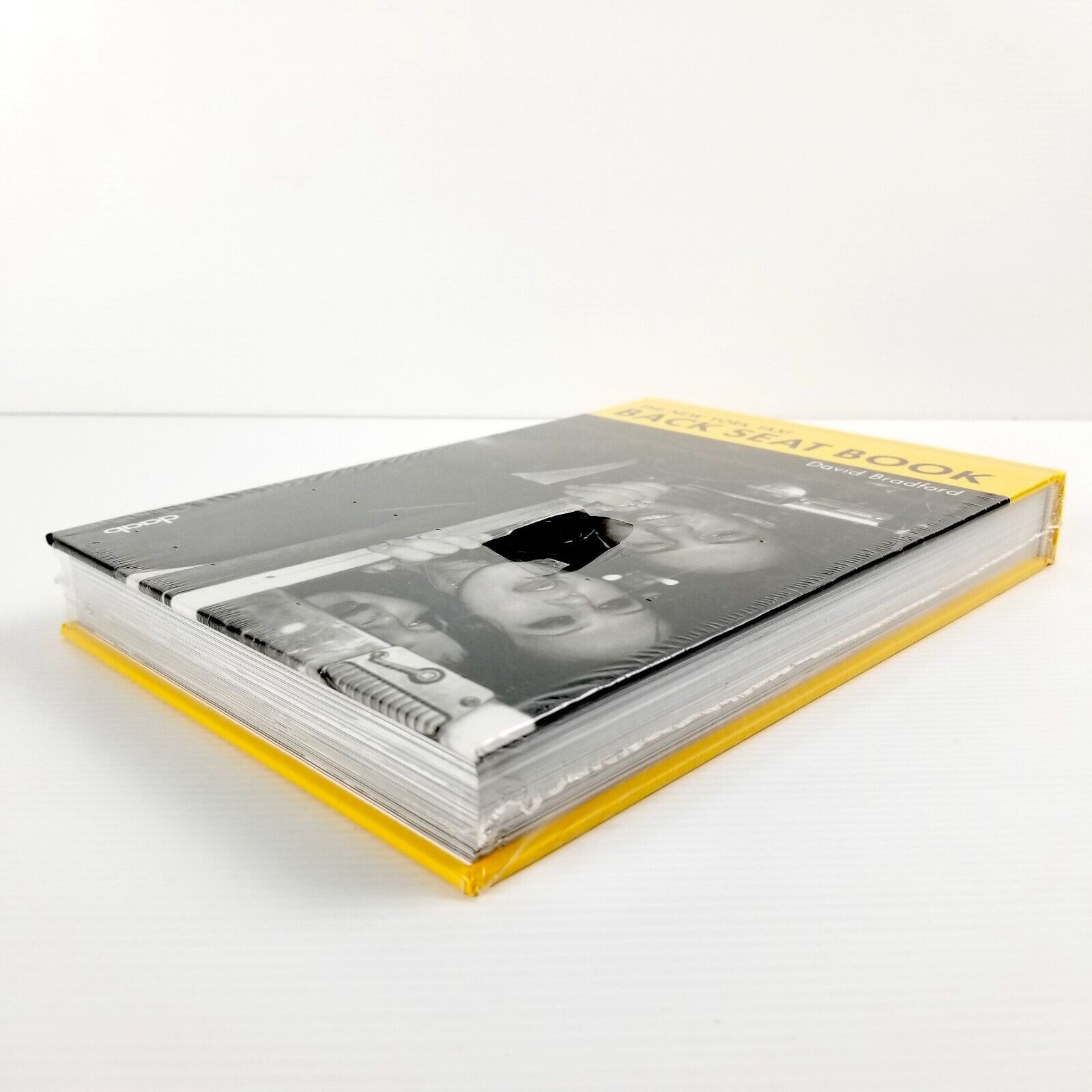 The New York Taxi Back Seat Book by David Bradford (Hardcover 2006) Photographer