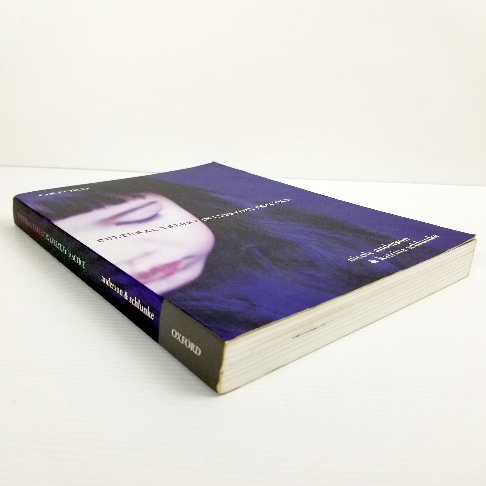 Cultural Theory in Everyday Practice Katrina Schlunke Nicole Anderson Textbook